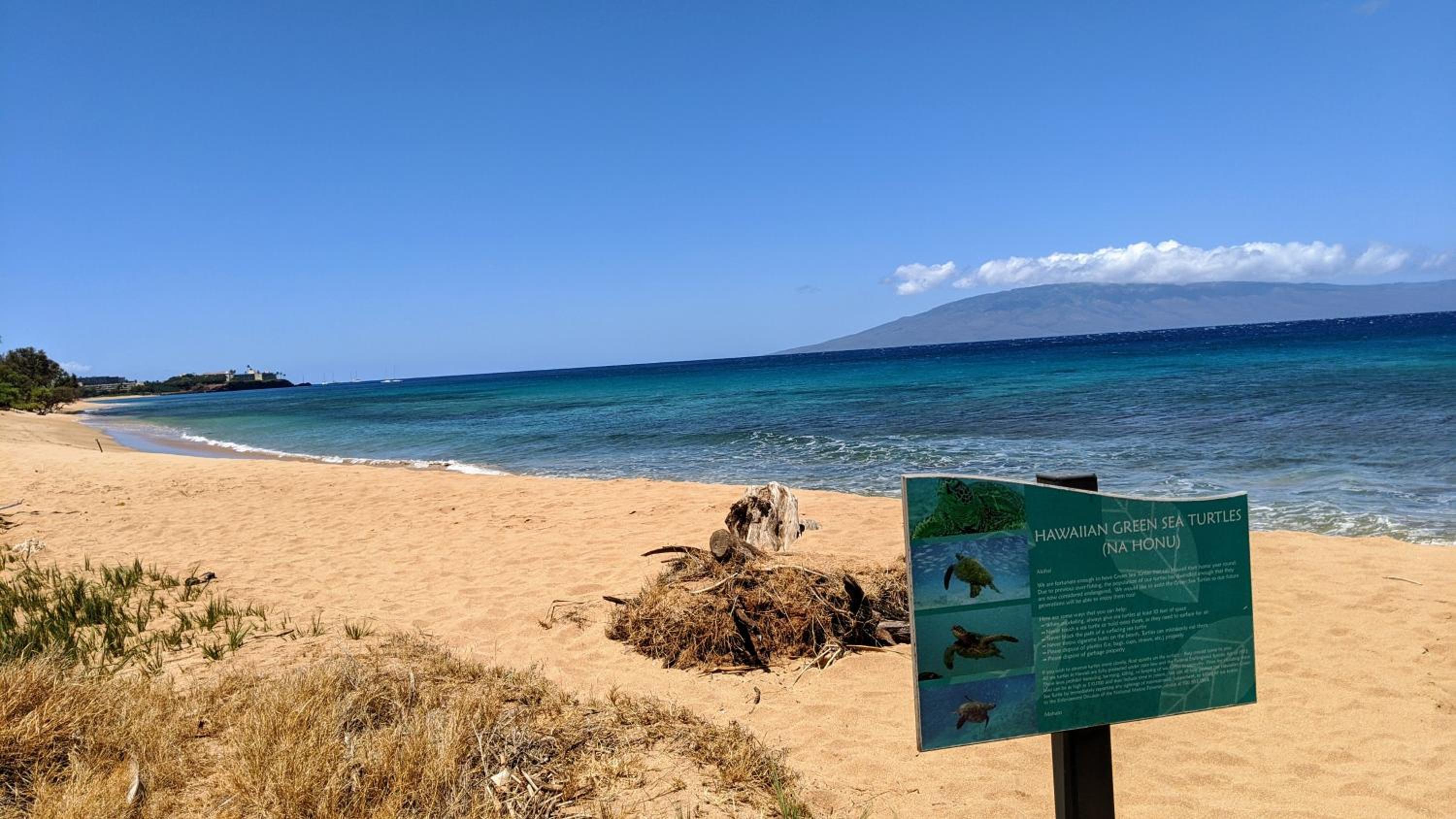 Maui Westside Presents - Luana garden Villa 8B view 2