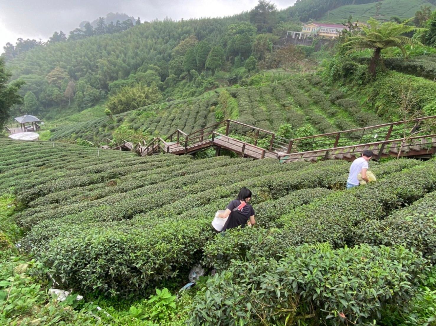 Tianyi Homestay