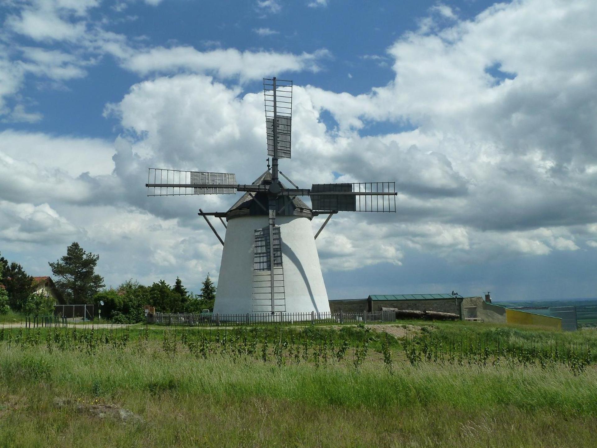 Photo 28