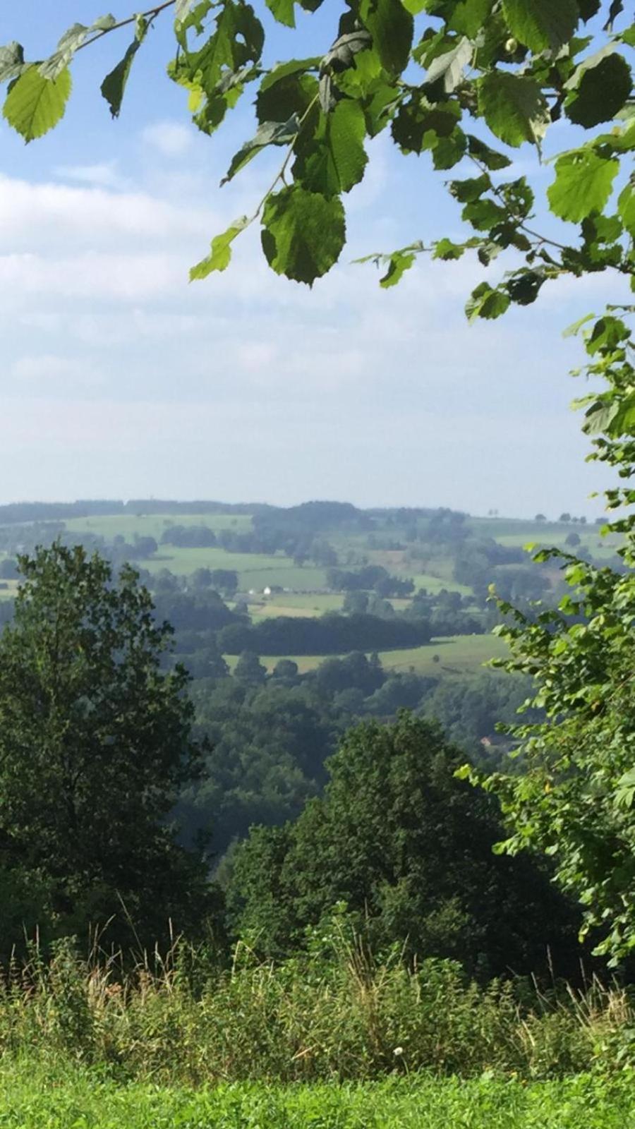 Terrasse de Malmedy Malmedy nature 338