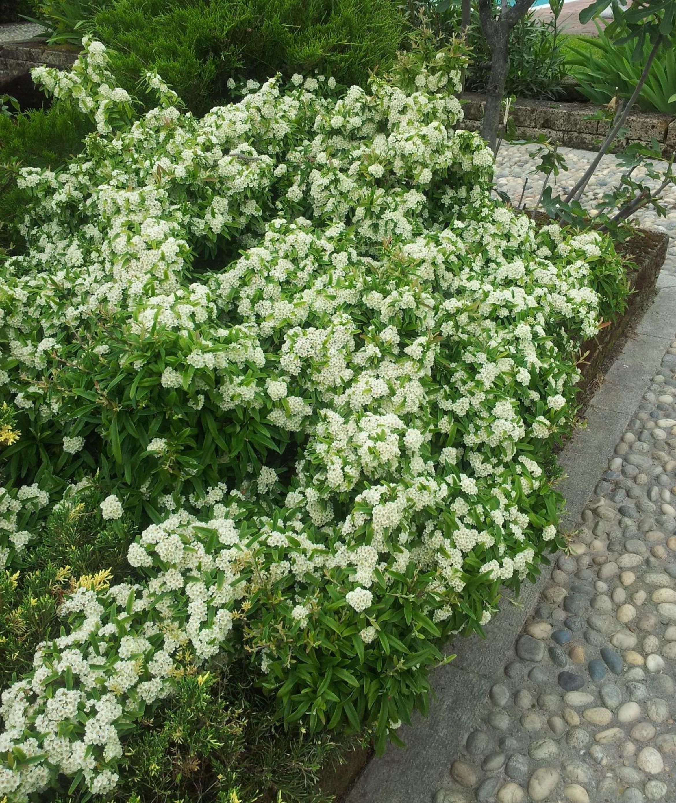 Photo 44