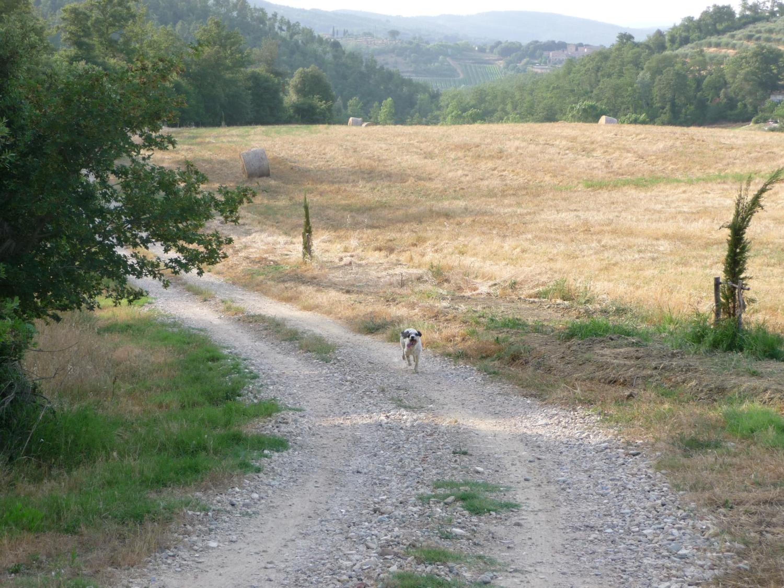 Photo 51