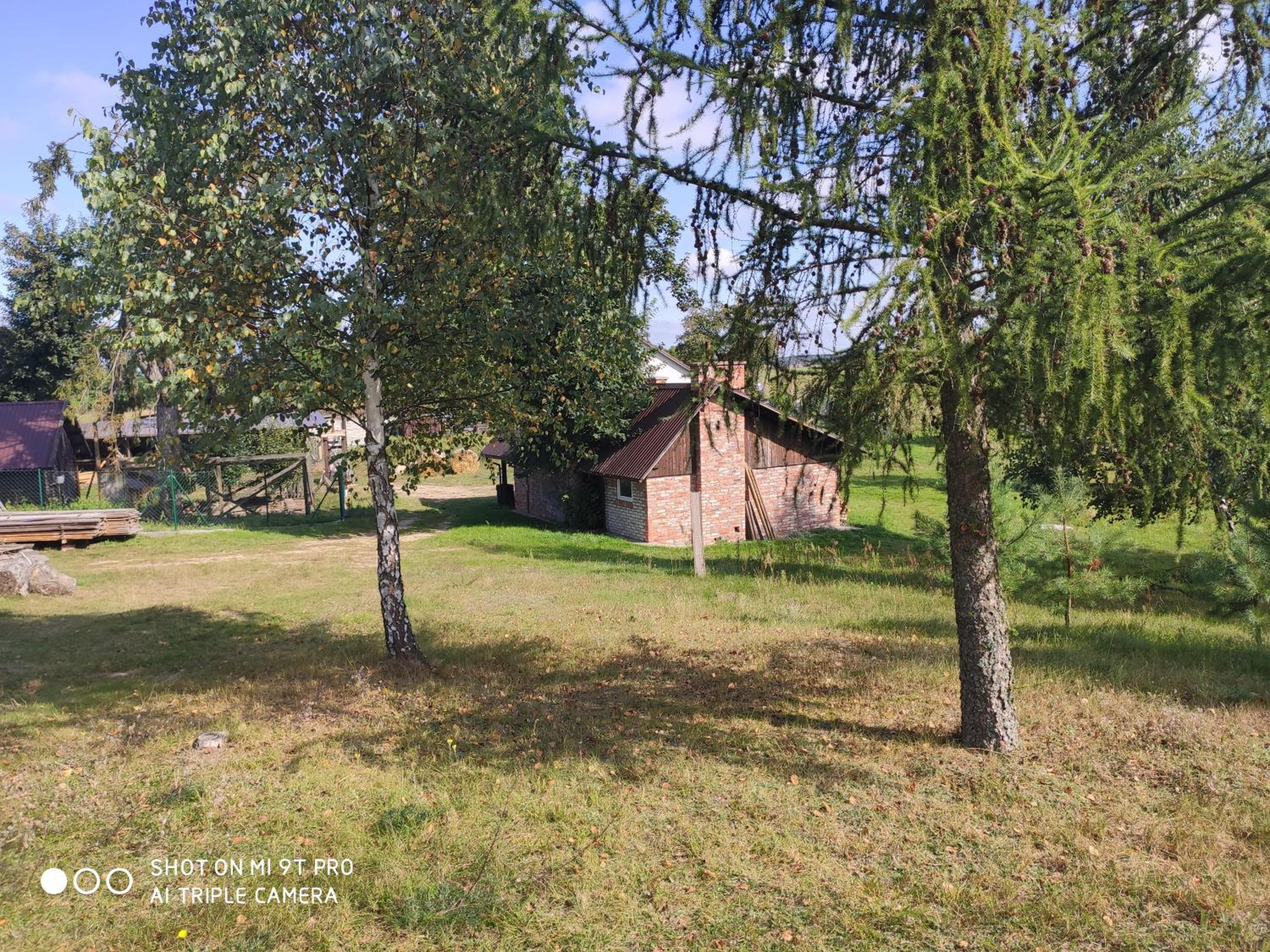 Photo 46