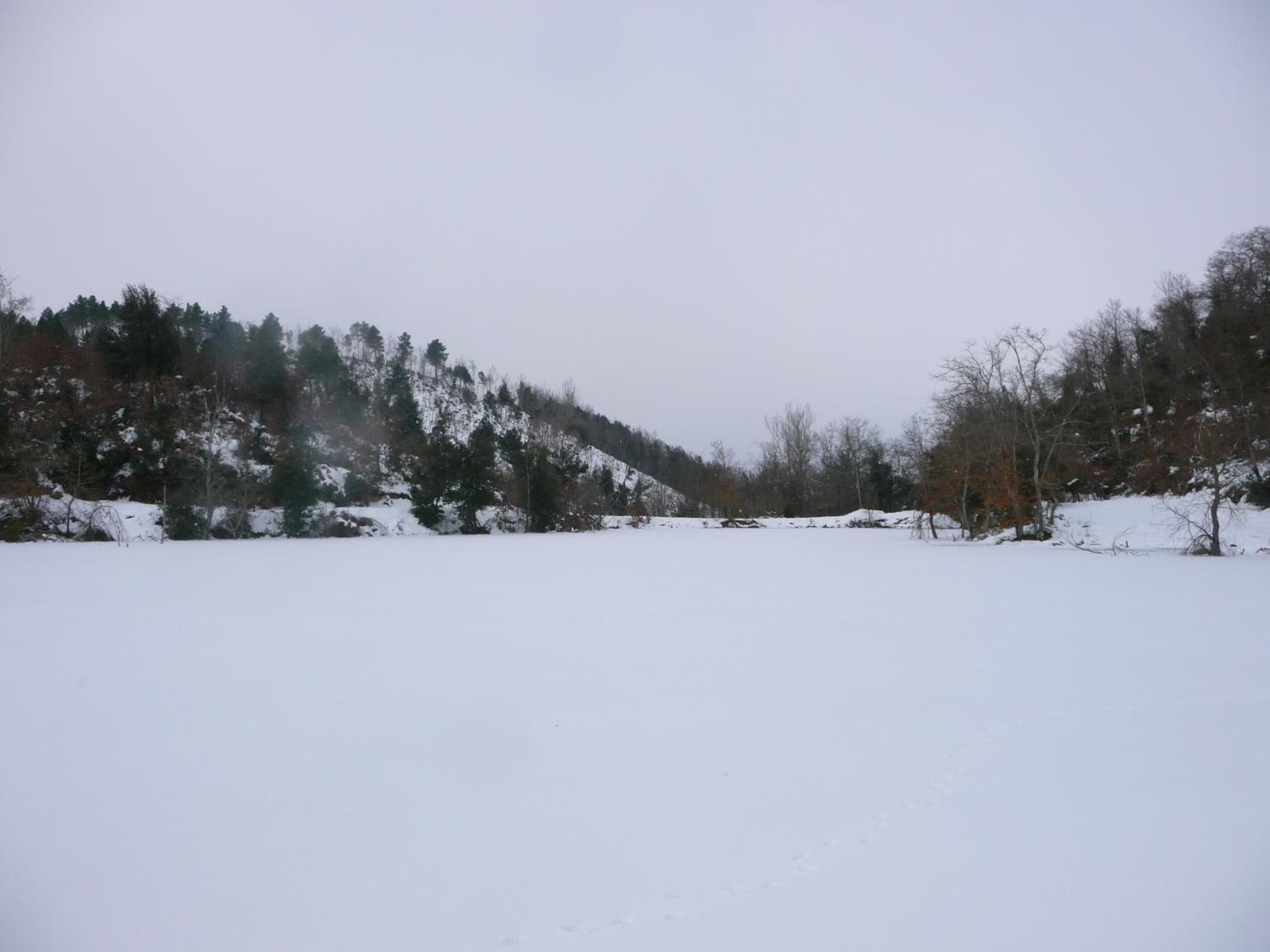 Photo 46