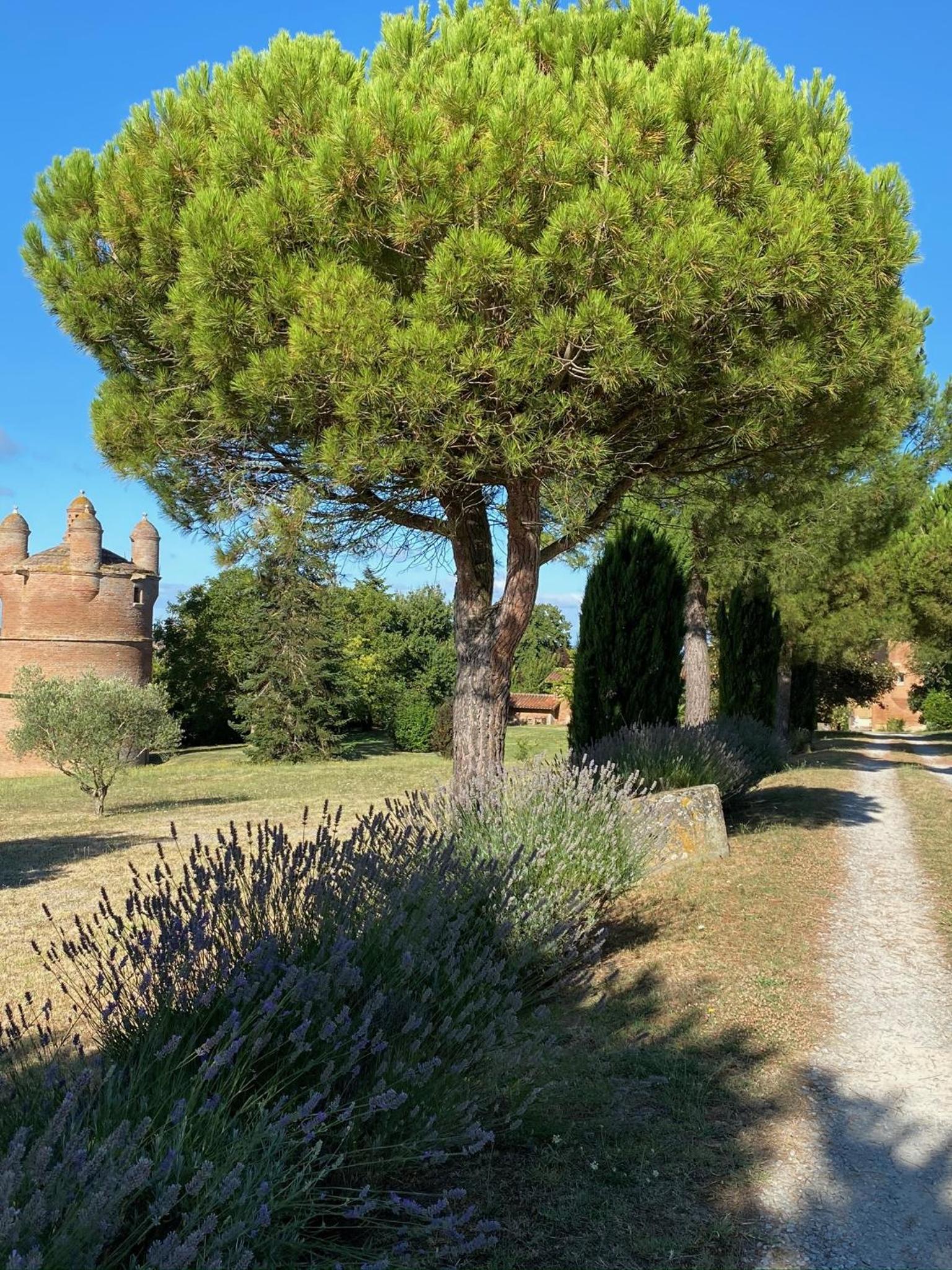 Manoir du Bouyssou view 3