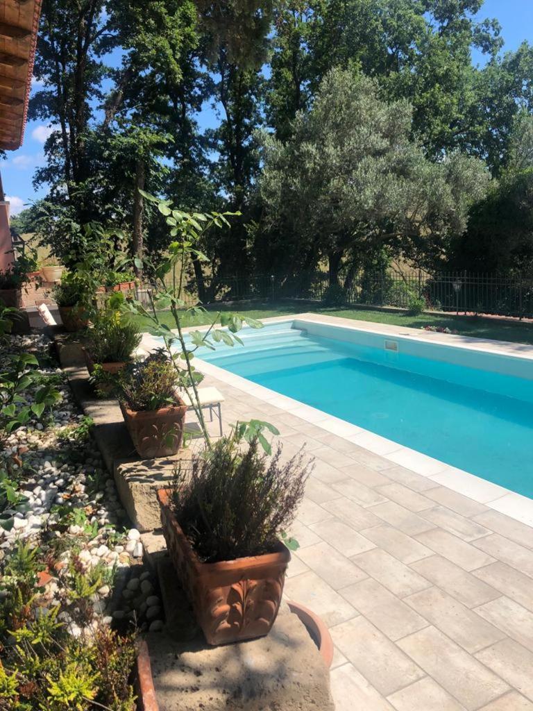 Tenuta San Sebastiano
