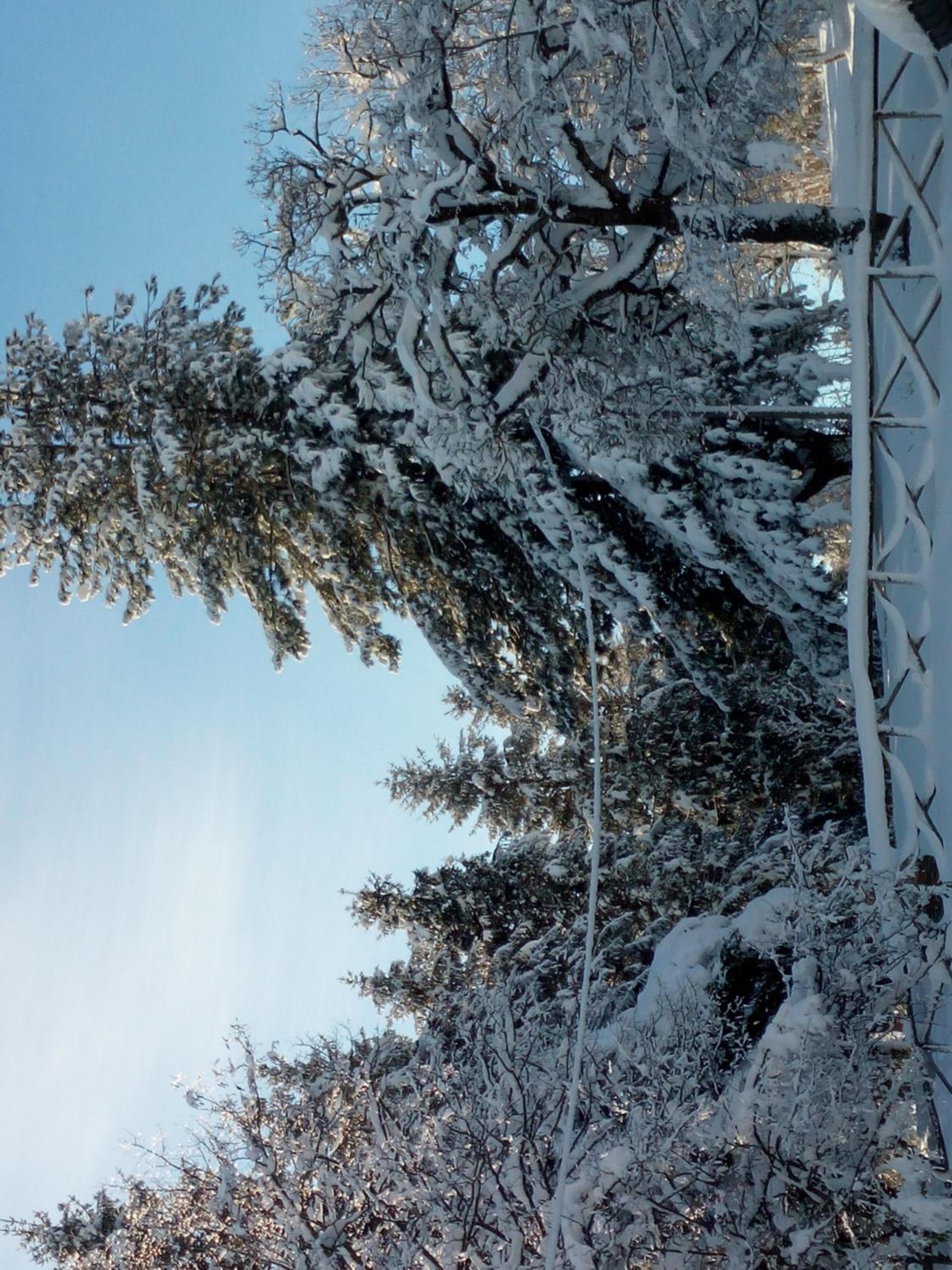 Il Castagno - Property Image 30