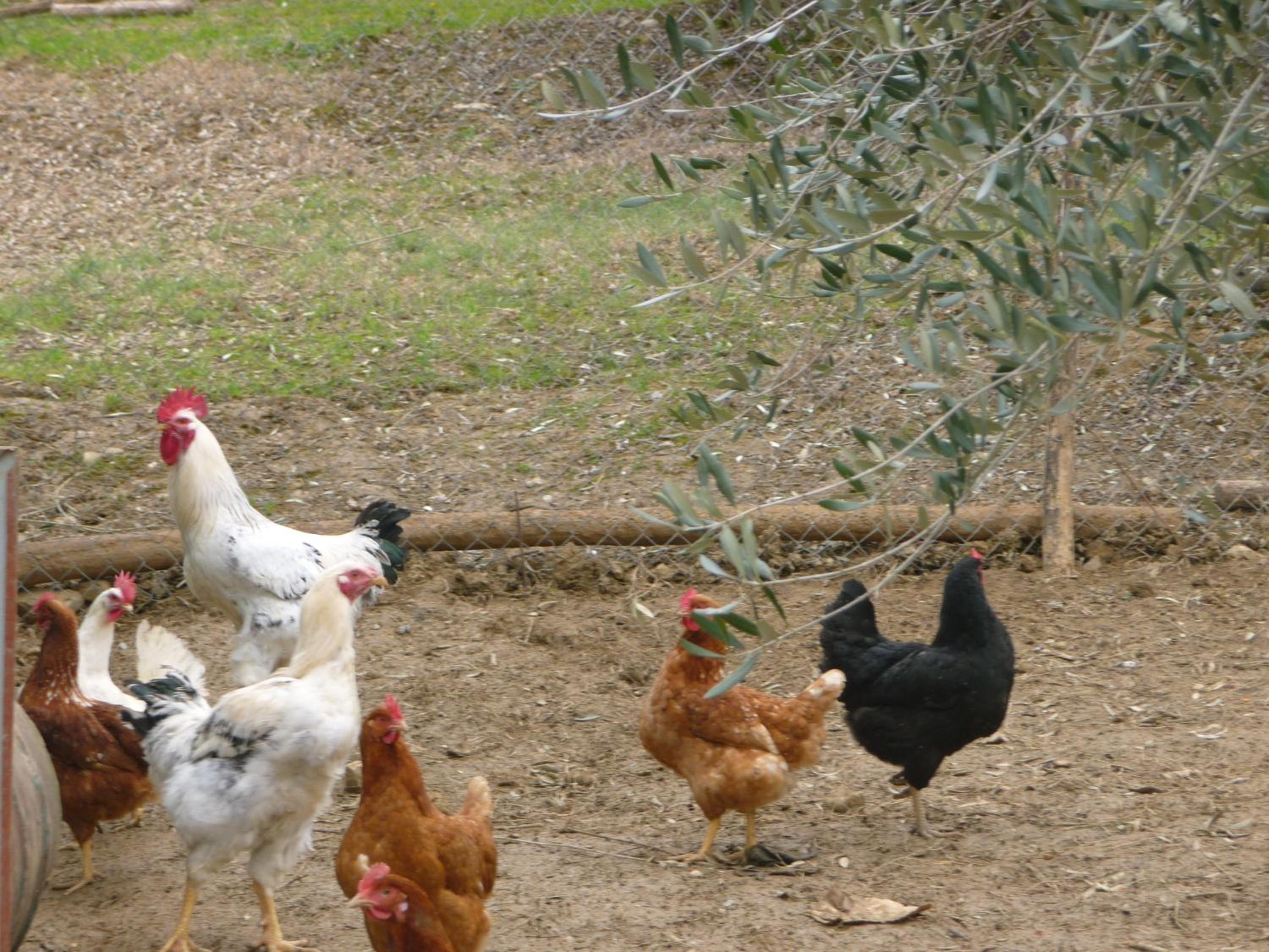 Photo 192