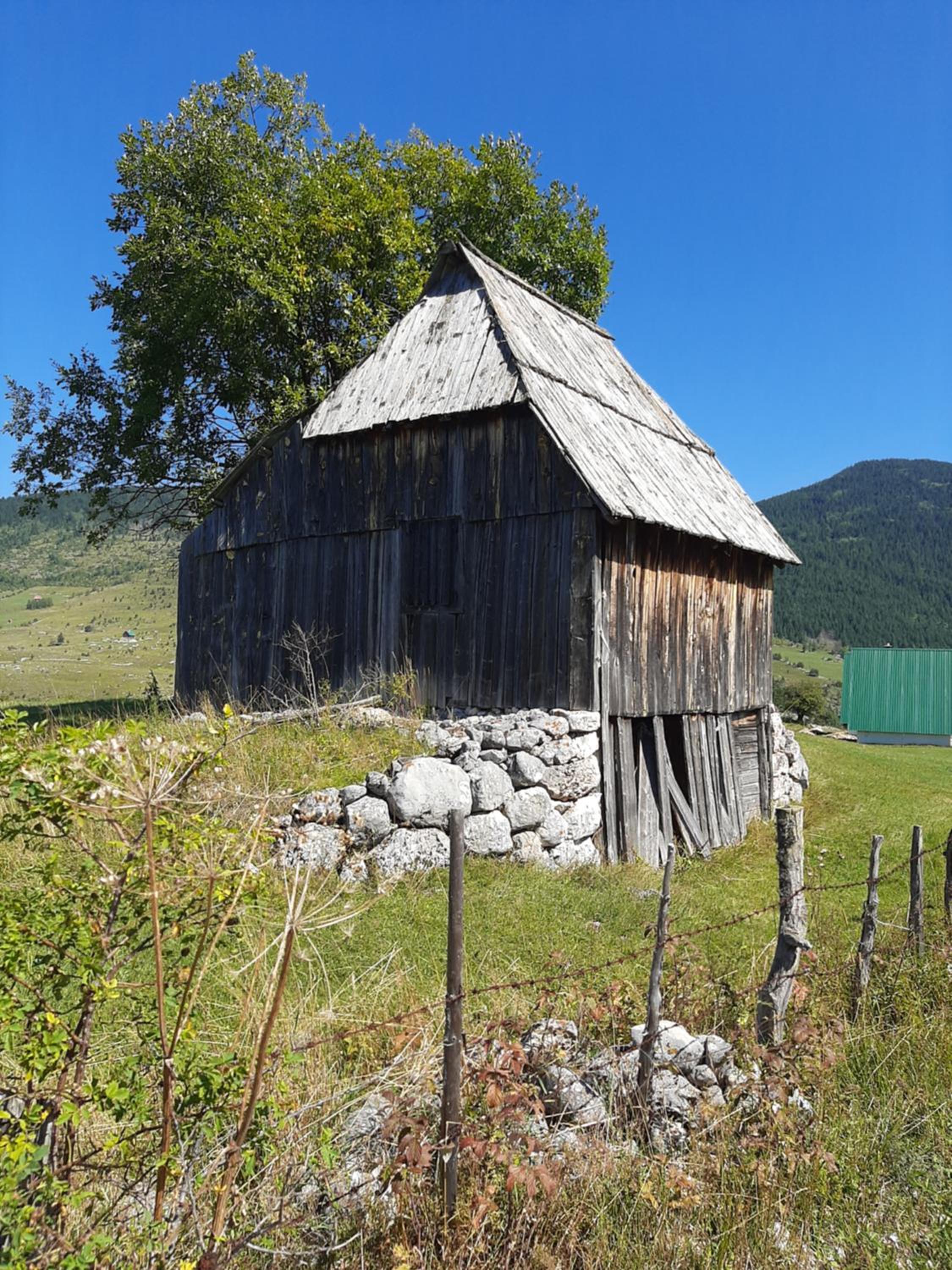 Photo 23