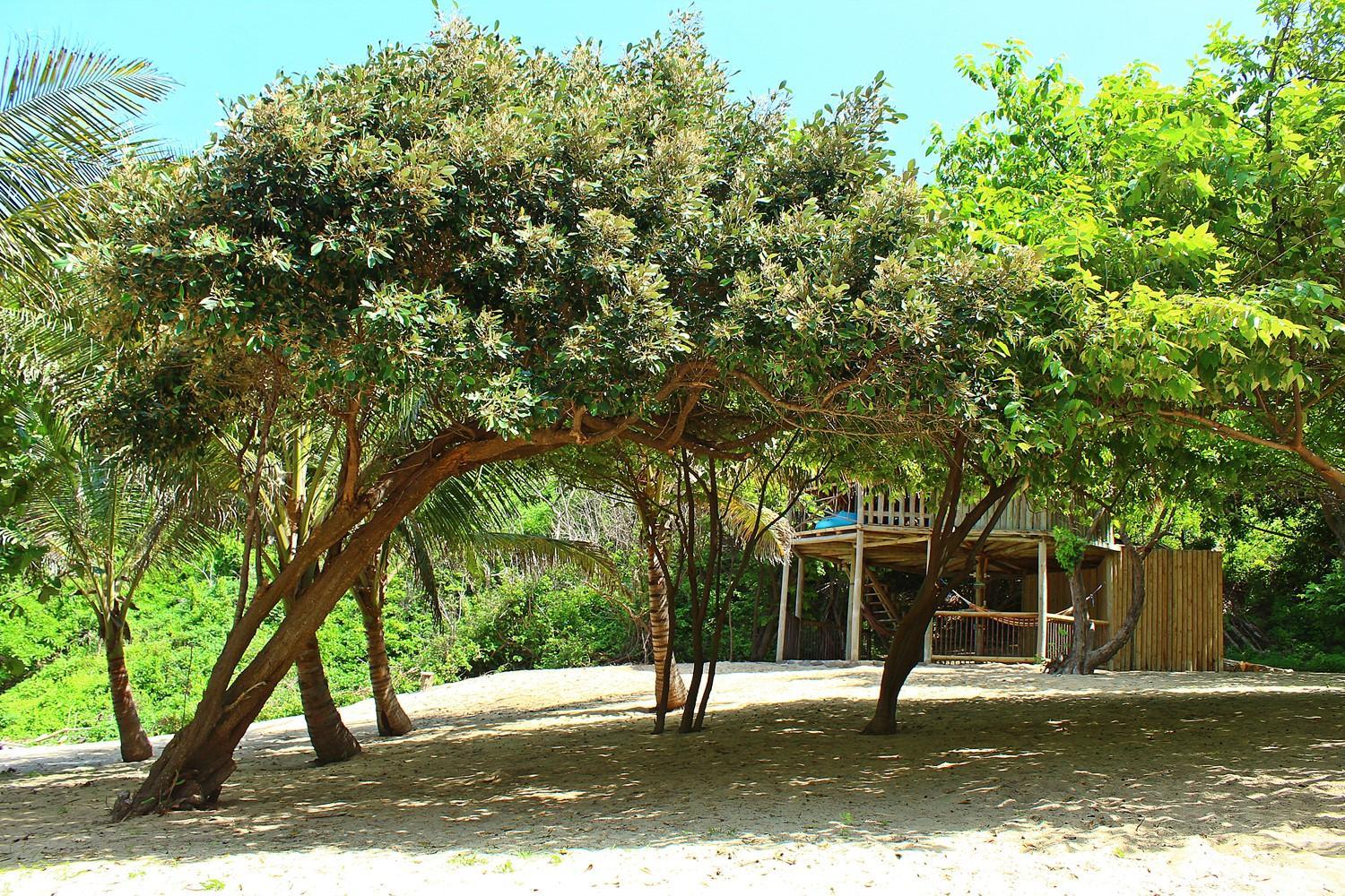 Photo 47