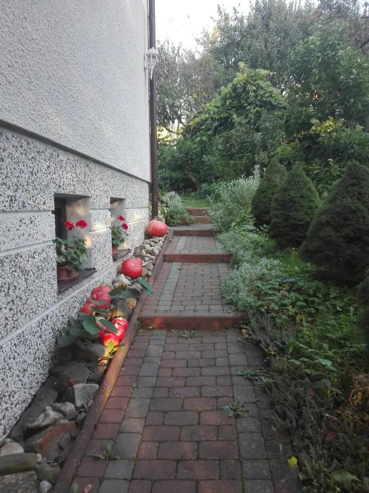 Photo 19