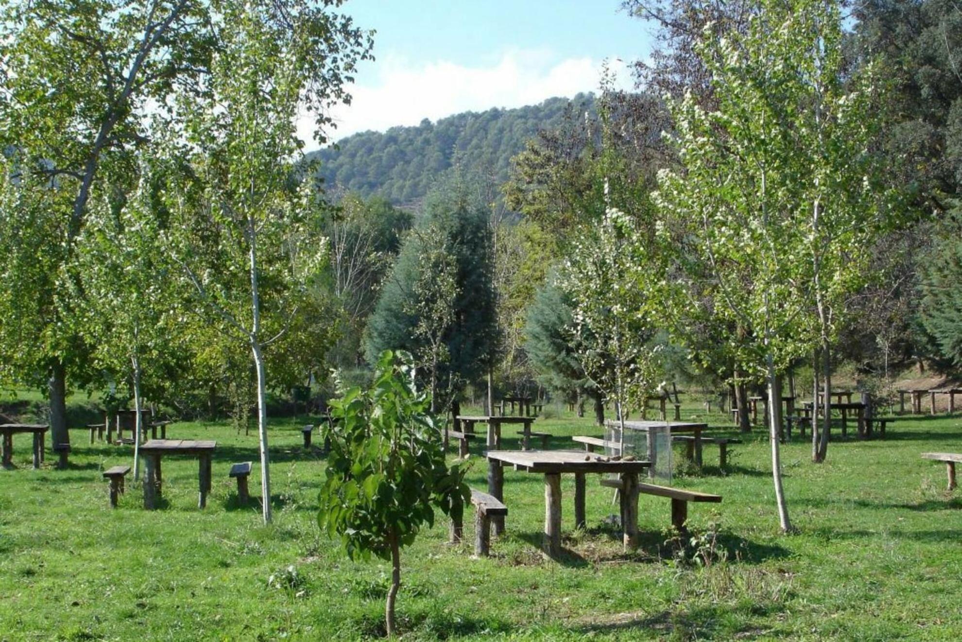 Photo 43