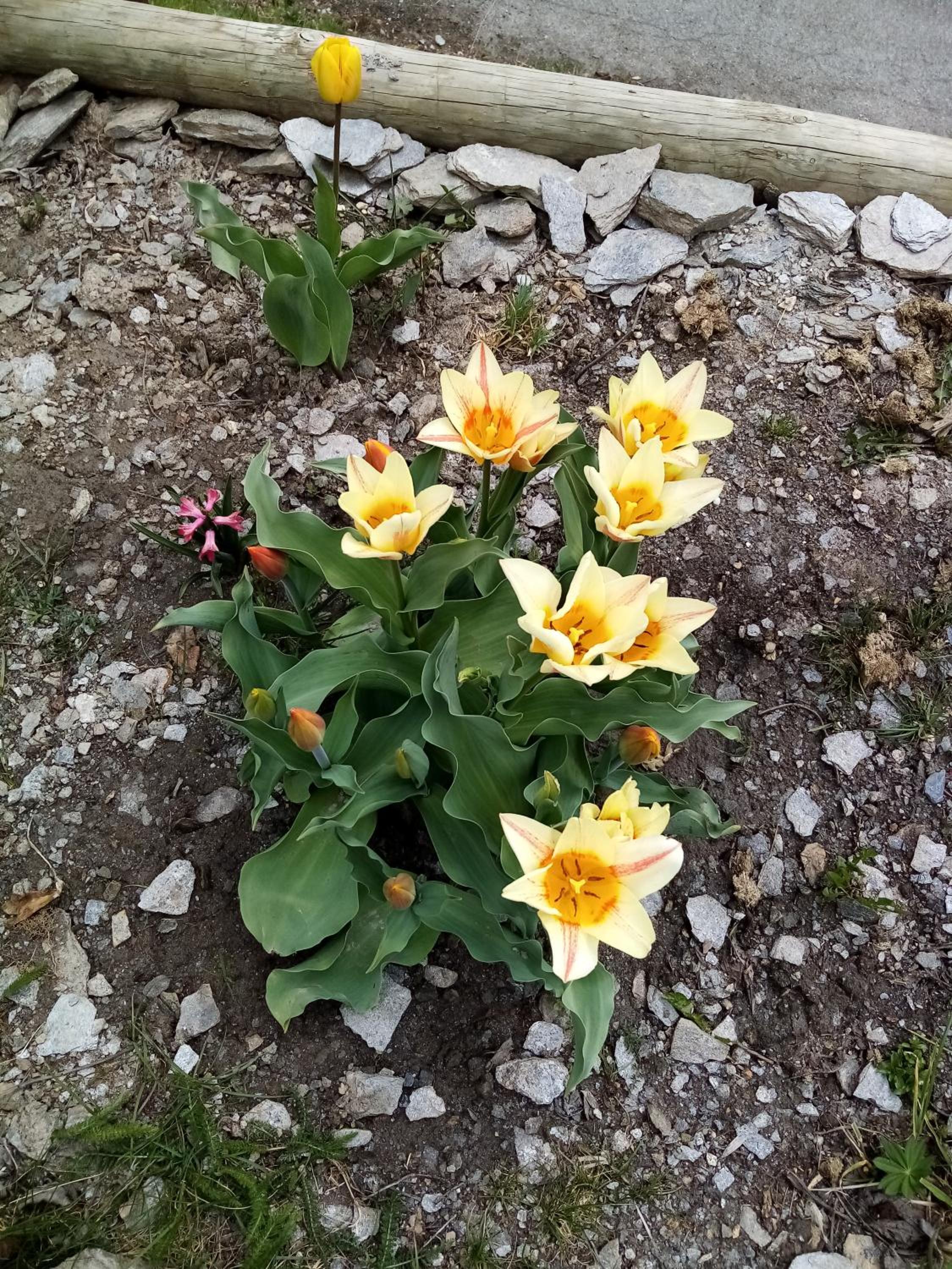 Photo 38
