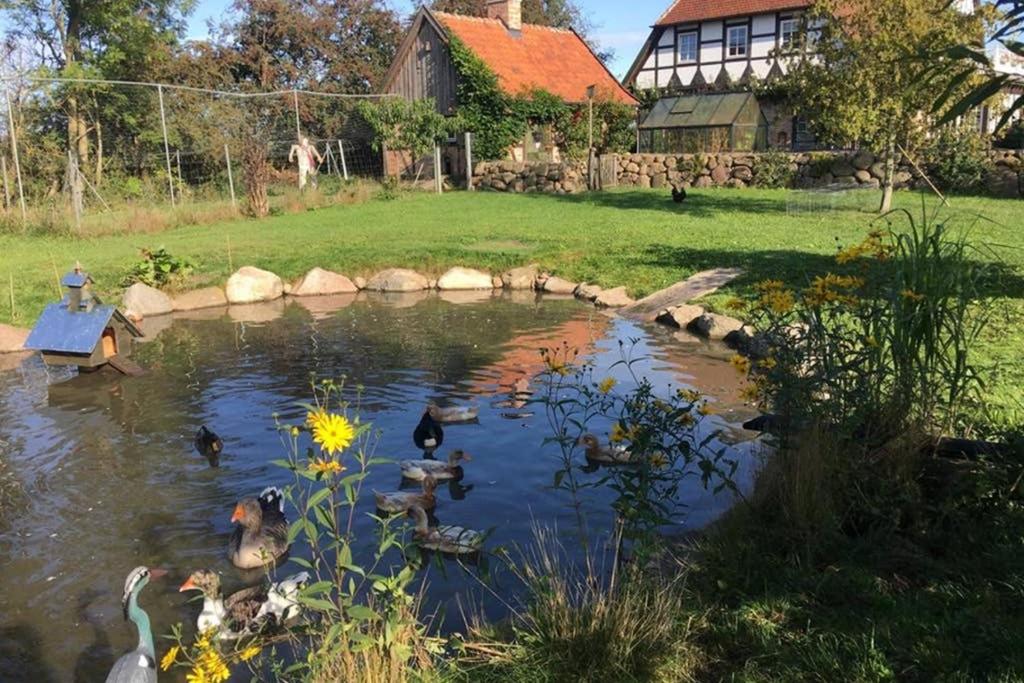 Hof Rabenstein Ostsee bei Kühlungsborn view 3