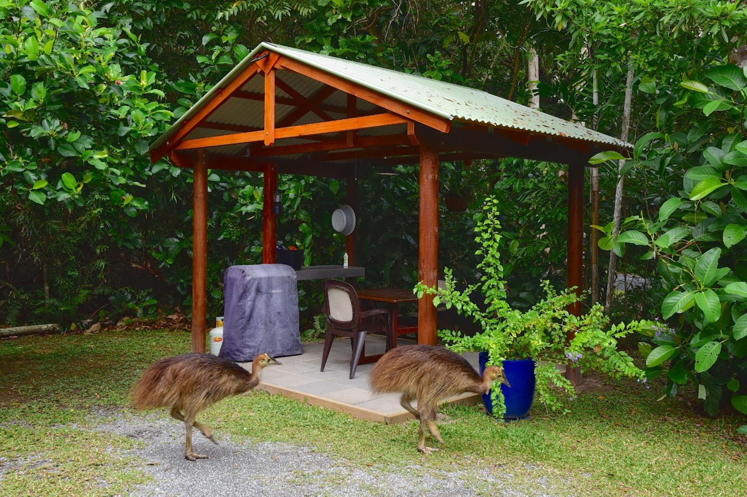 Thornton Beach Bungalows Daintree
