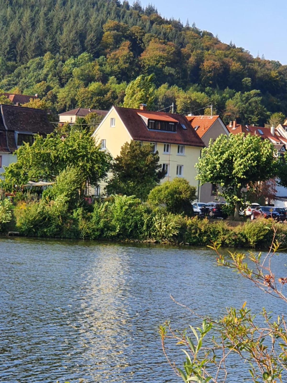 Ferienwohnungen Flussufer - Neckargemünd Altstadt view 3