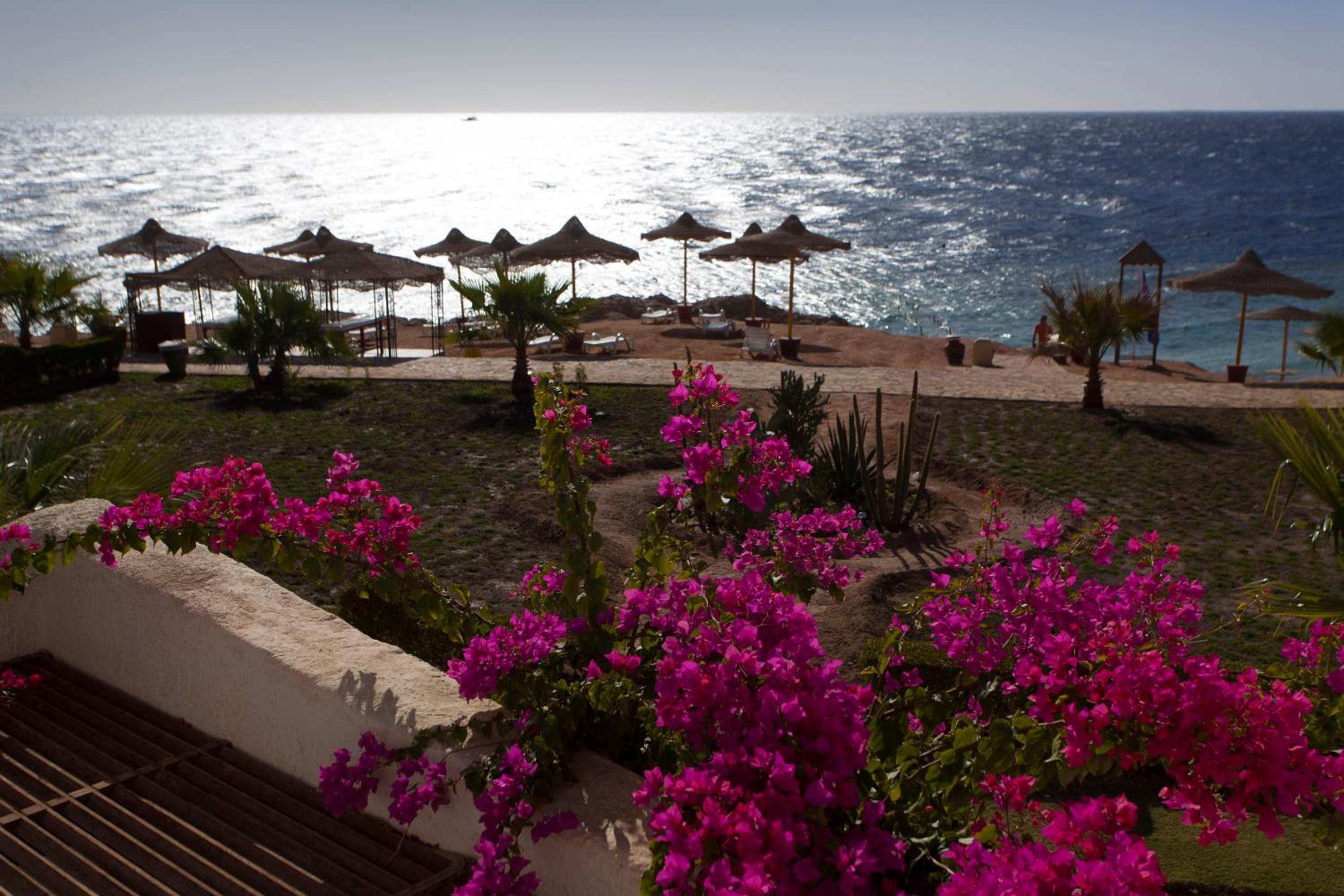 Sharm Club Beach Resort