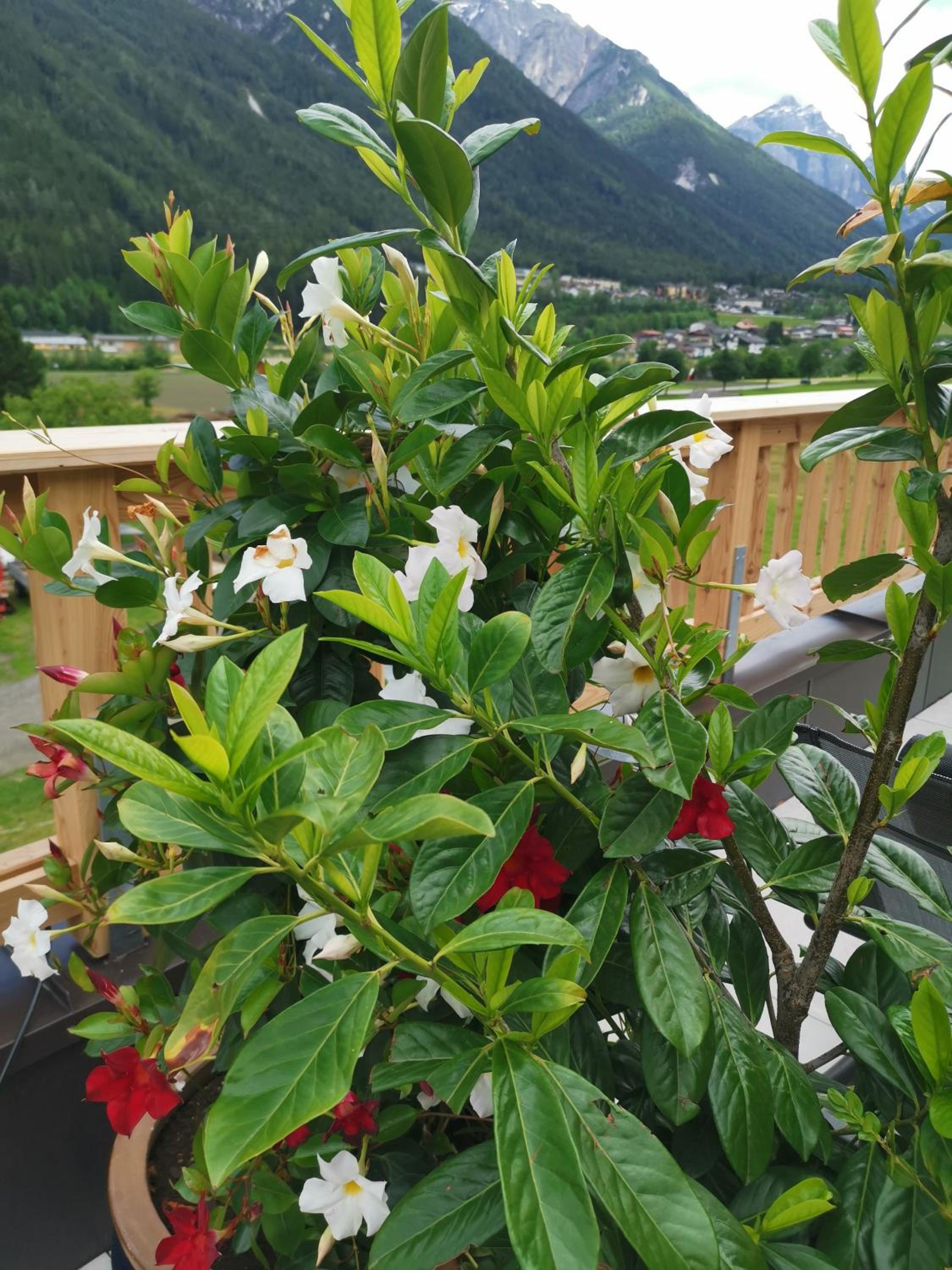 Photo 26