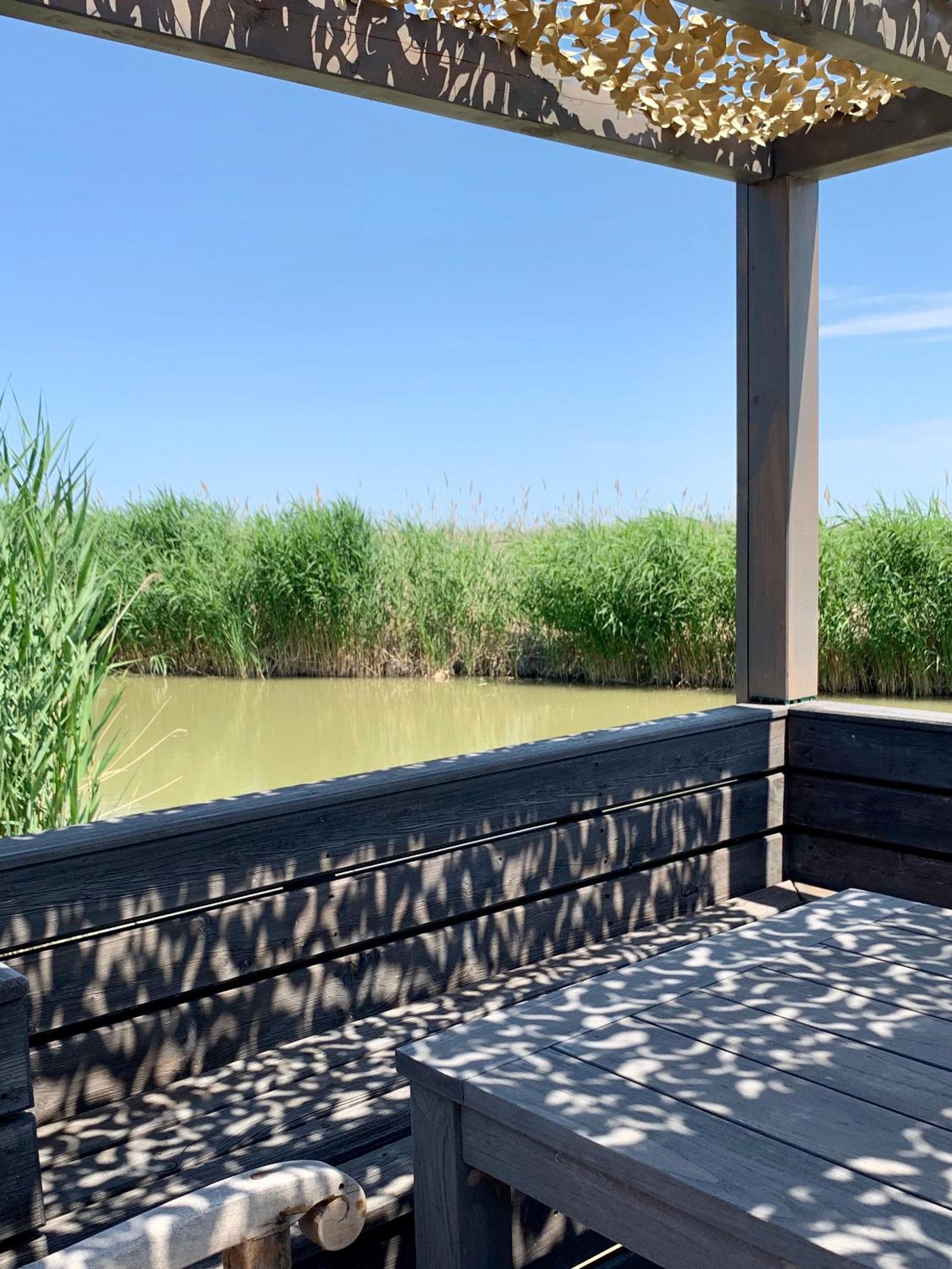 Seehütte Neusiedlersee inklusive Elektroboot