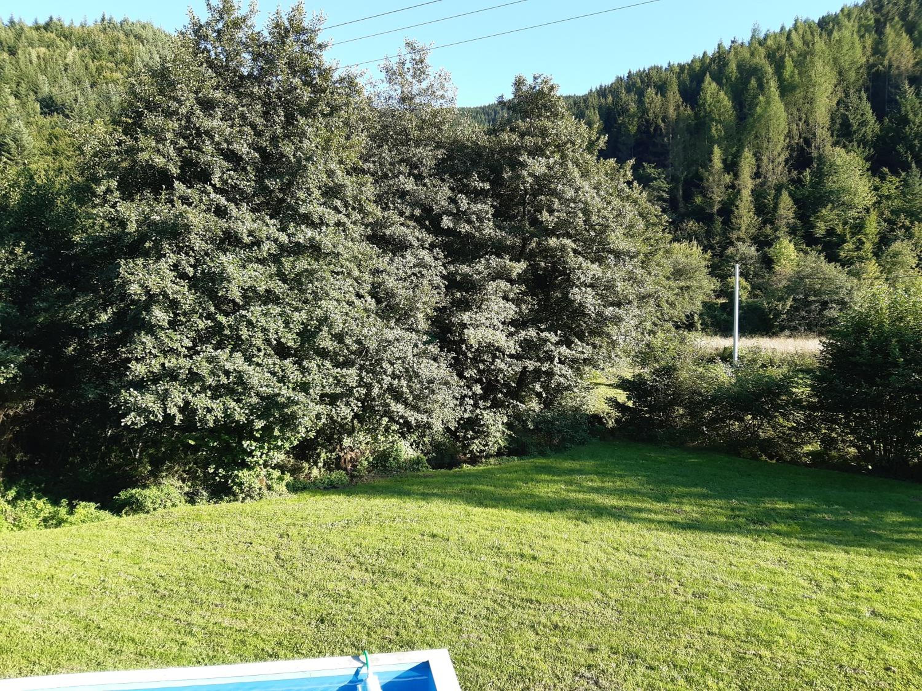 Softa