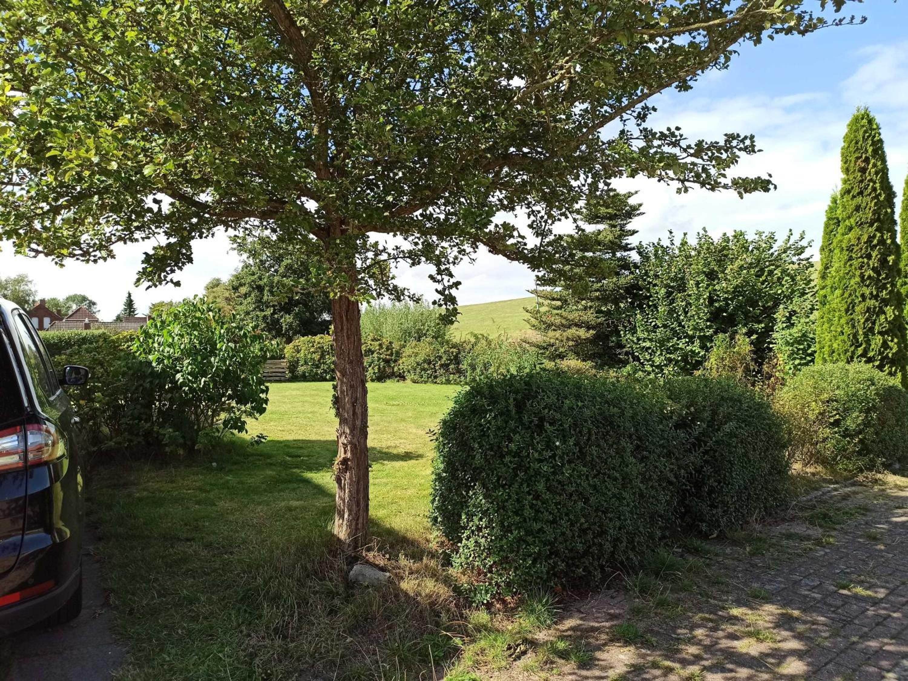 Ferienhaus Friesenrose 45237