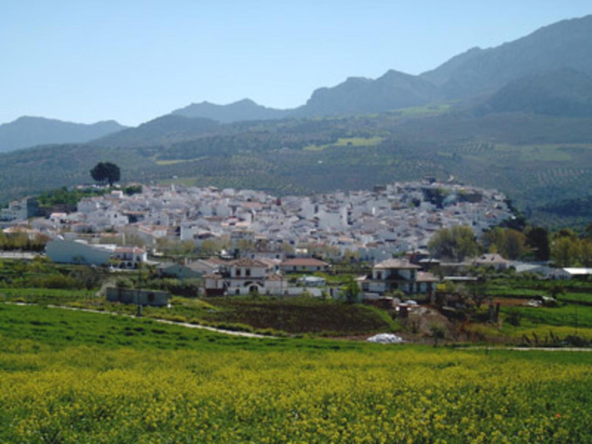 Photo 40