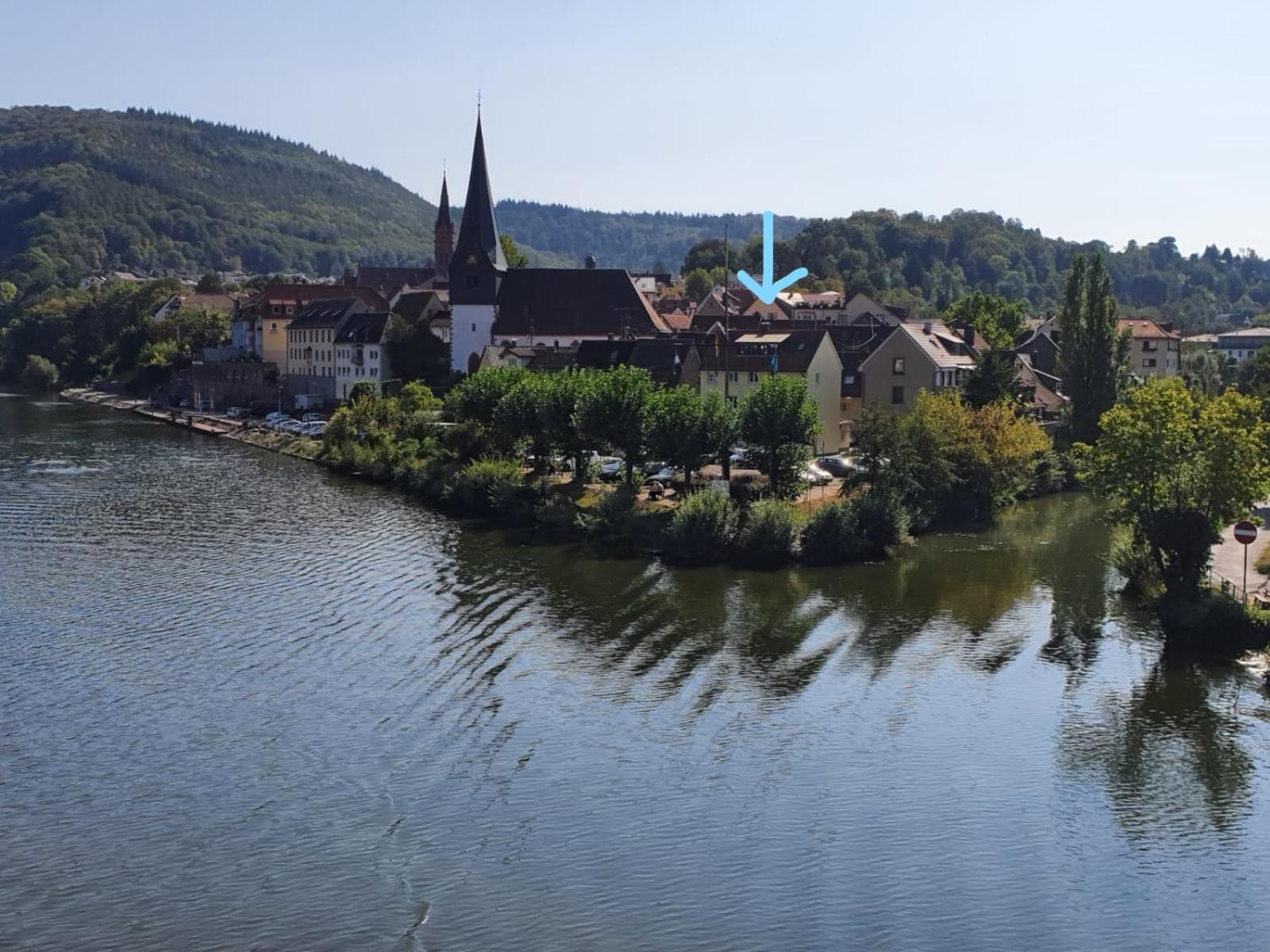 Ferienwohnungen Flussufer - Neckargemünd Altstadt view 5