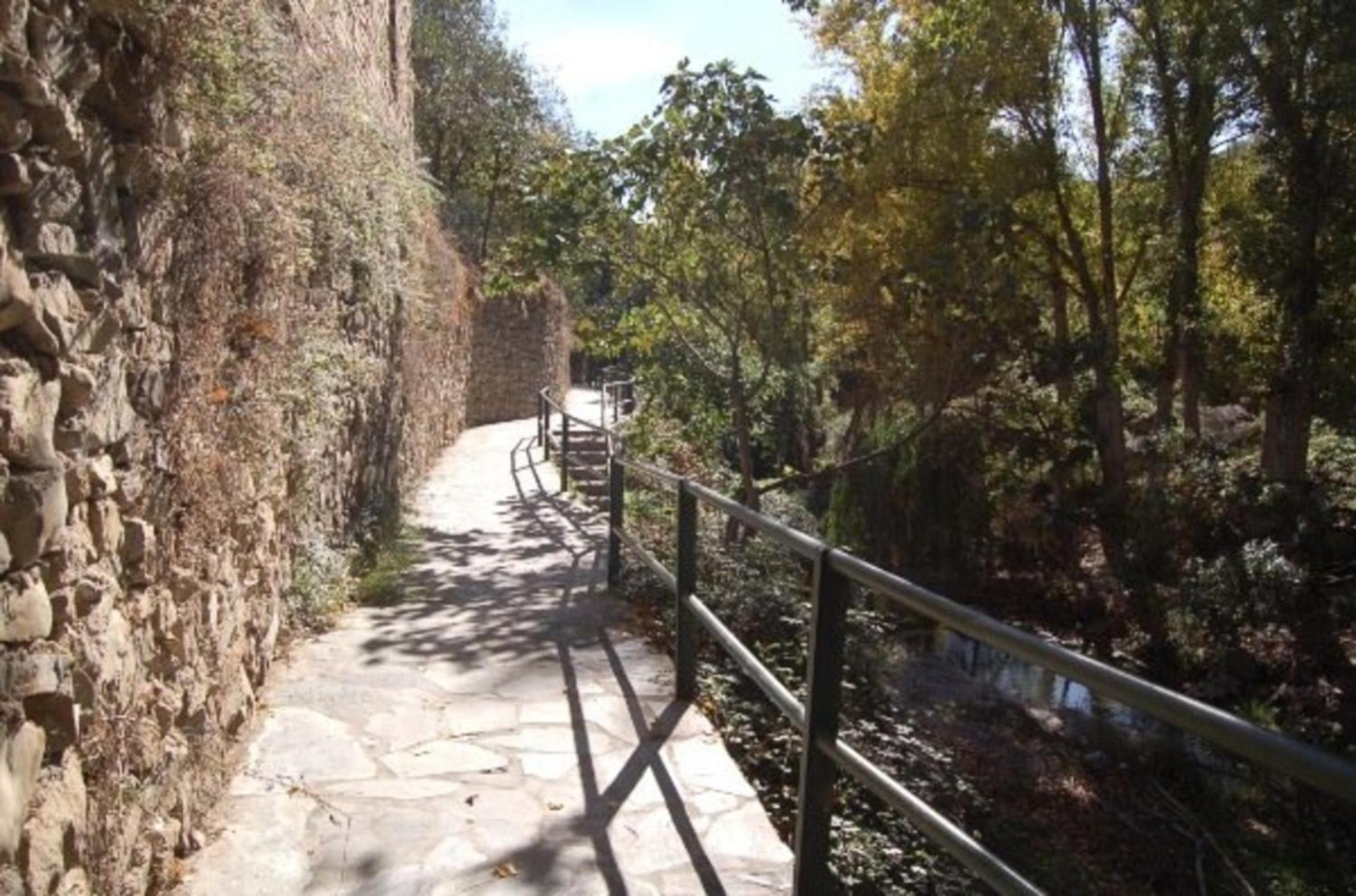 Photo 41