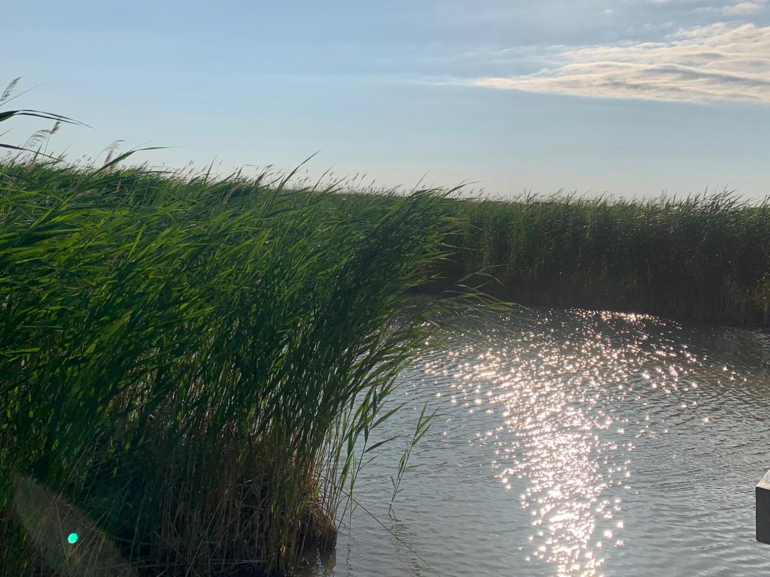 Seehütte Neusiedlersee inklusive Elektroboot