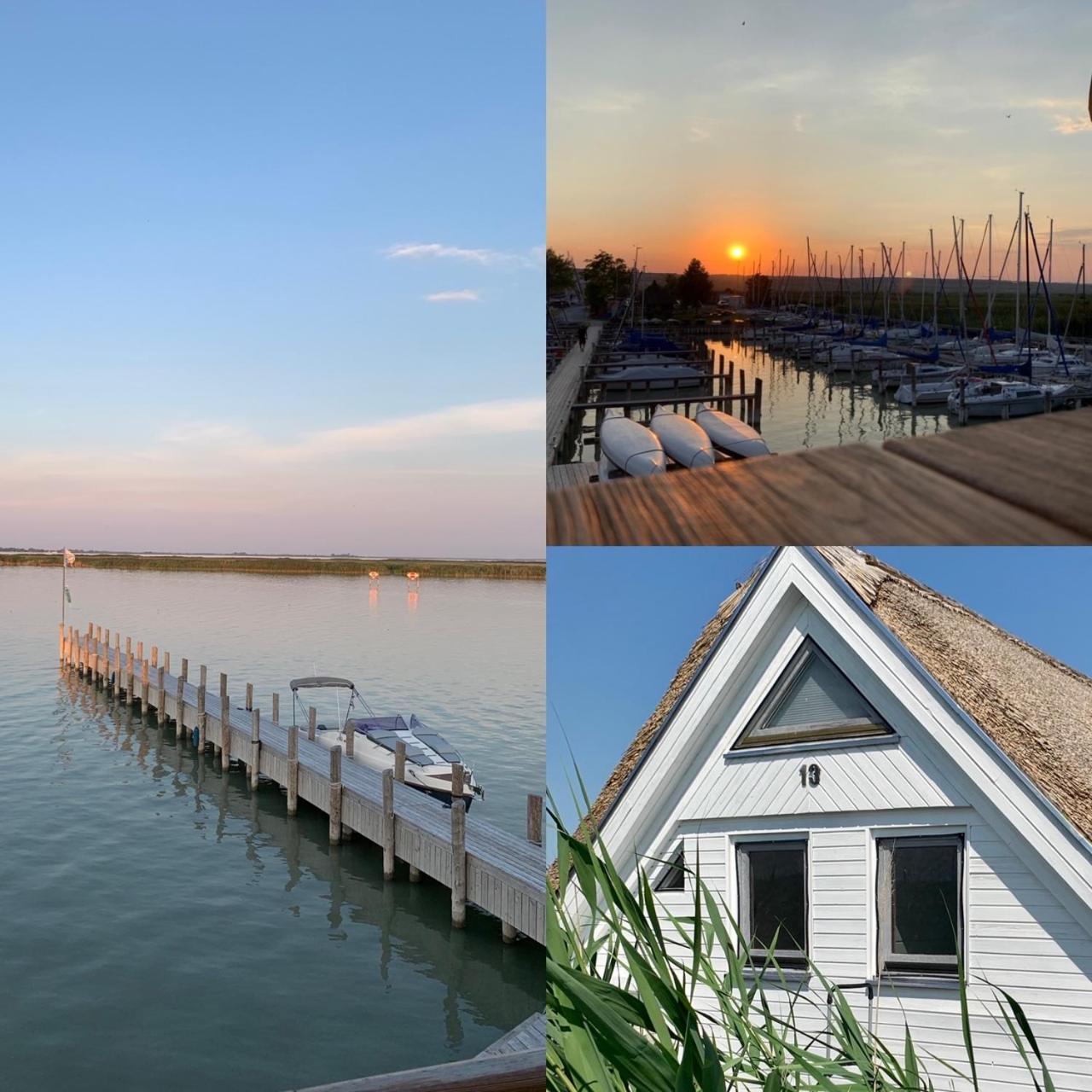 Seehütte Neusiedlersee inklusive Elektroboot