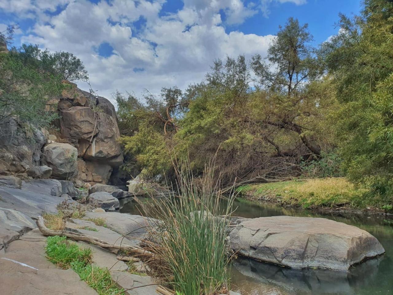 Vrede Fountain House Farm Stay view 4