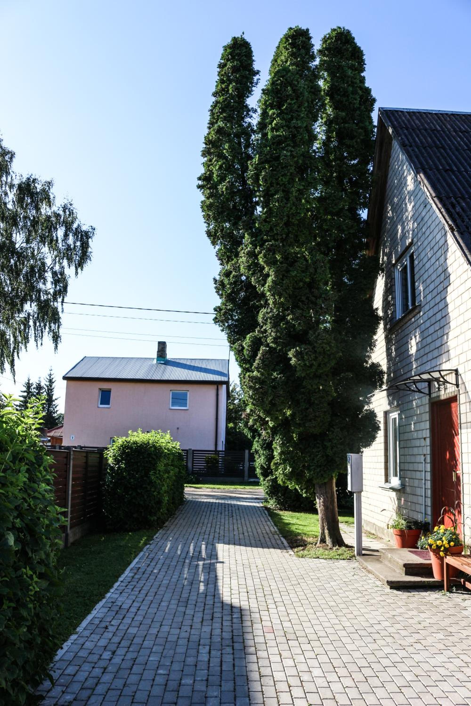 Photo 7