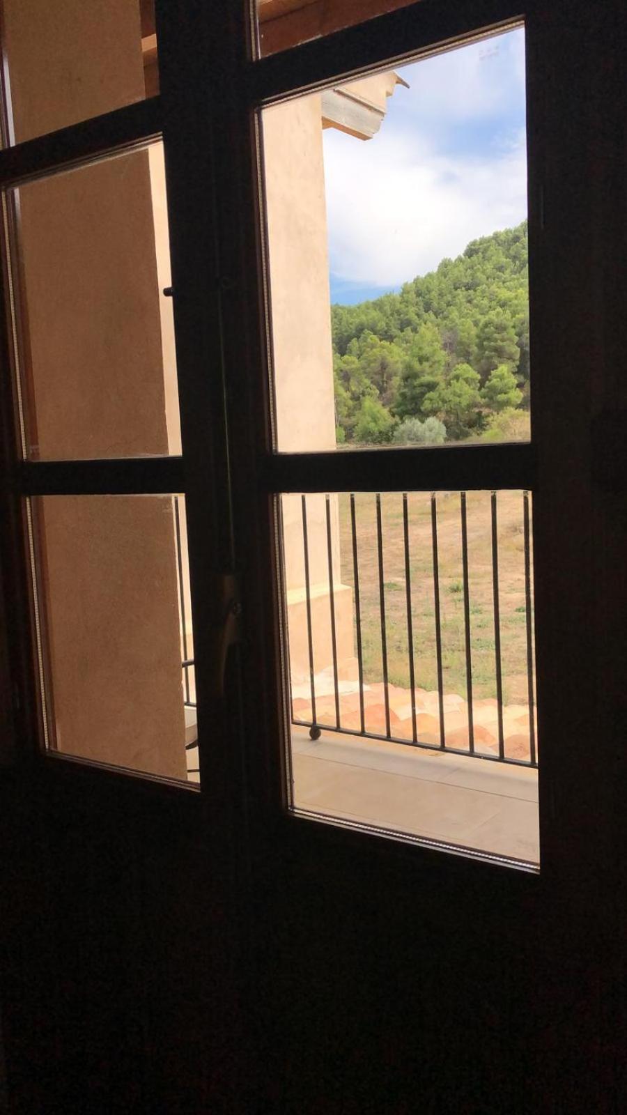 Photo 51
