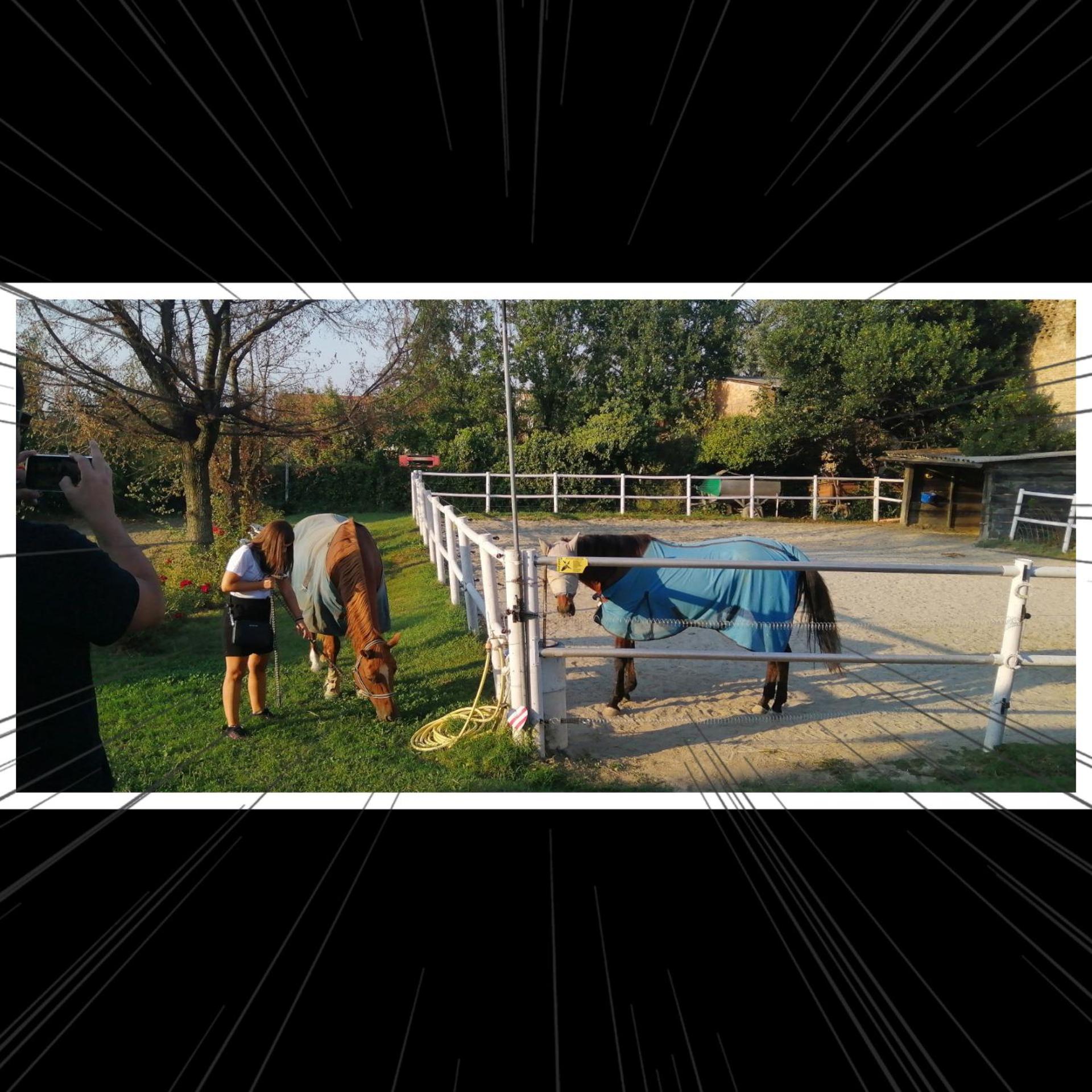 Felix House - Property Image 14