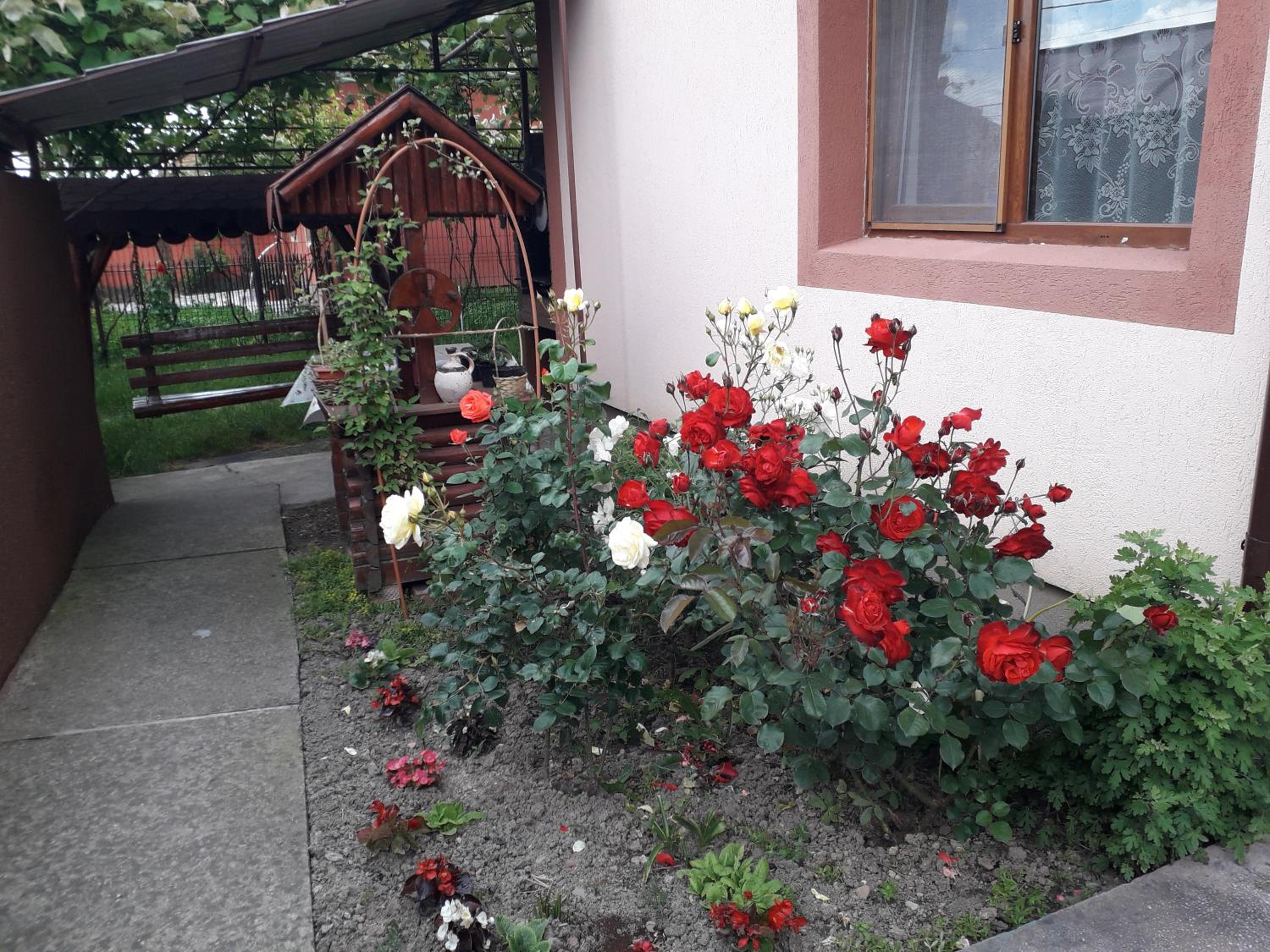 Photo 31