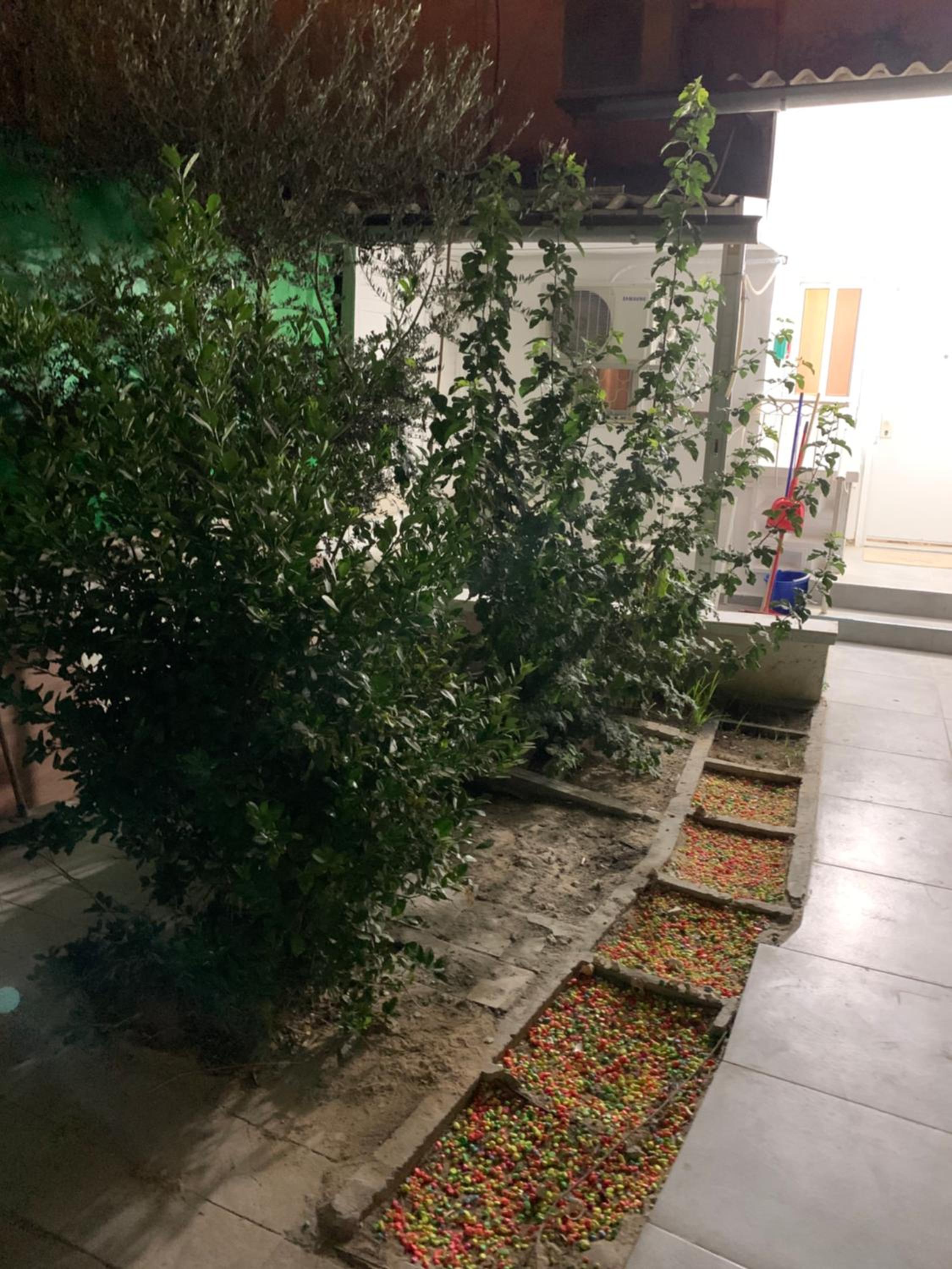 Photo 20