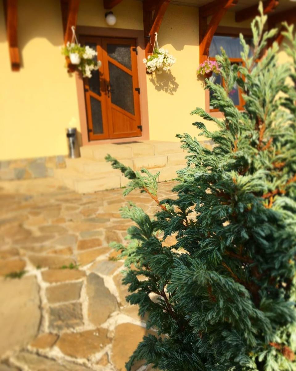 Photo 33