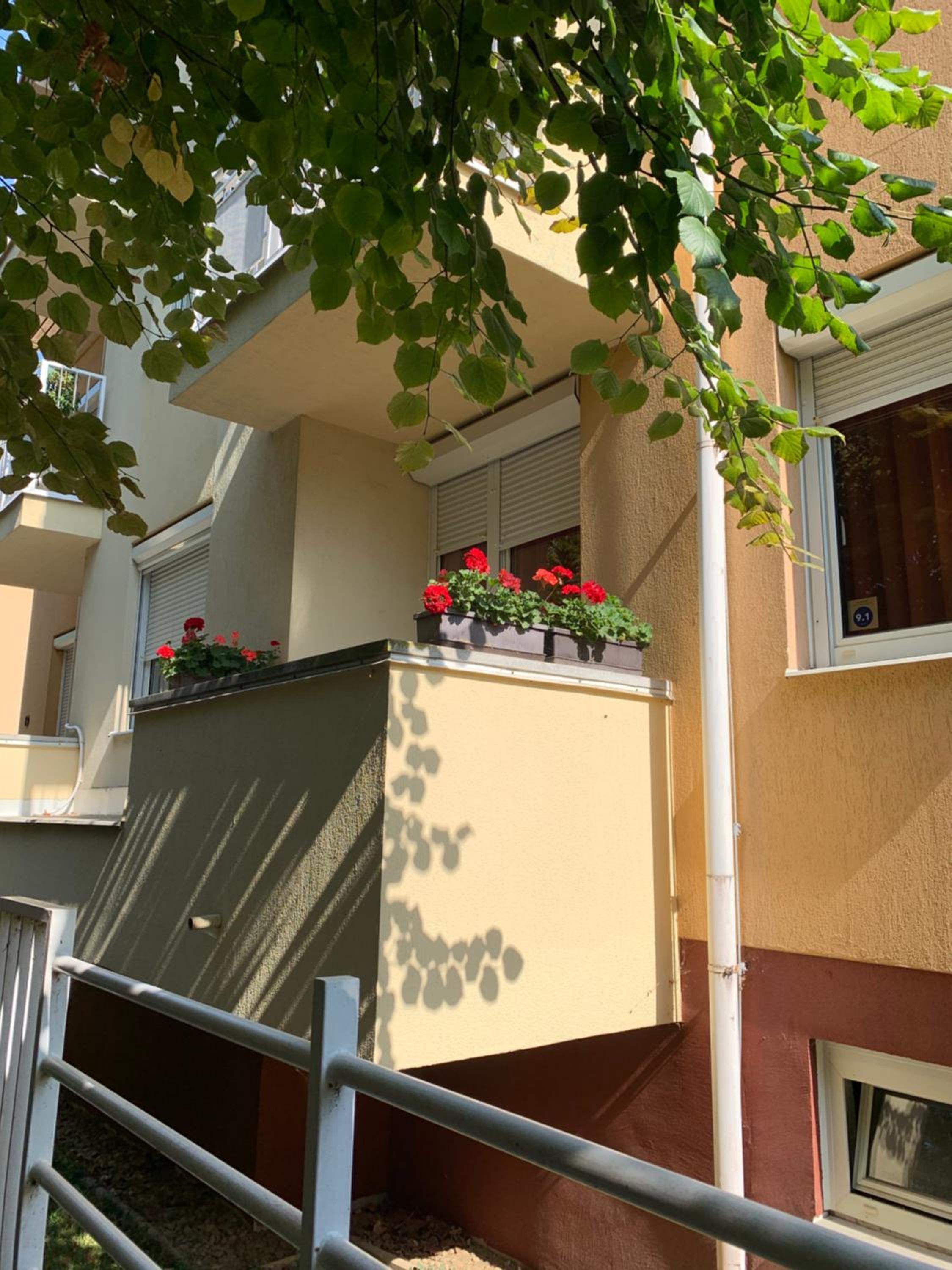 Kőnig apartman view 4