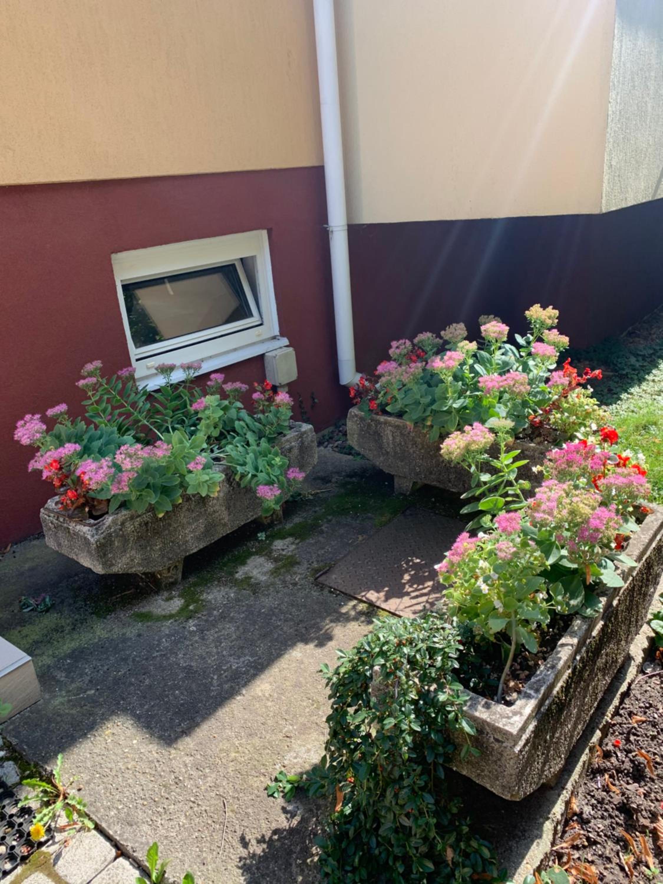 Kőnig apartman view 5