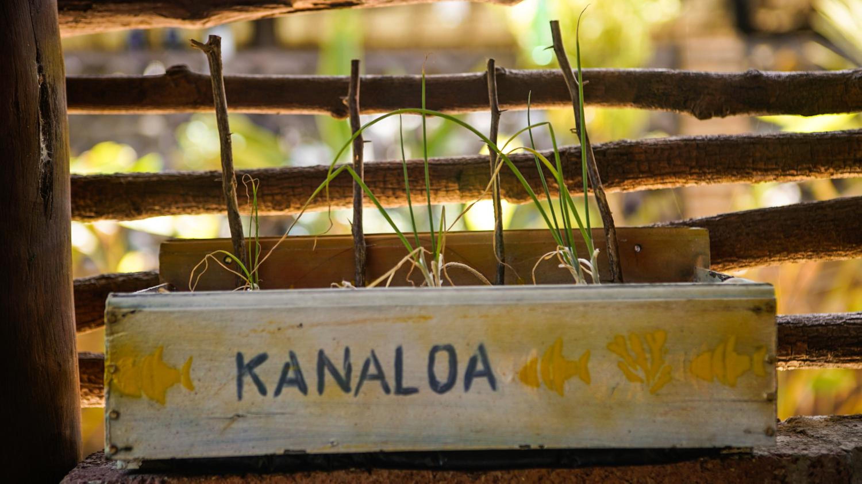 Kanaloa Pousada
