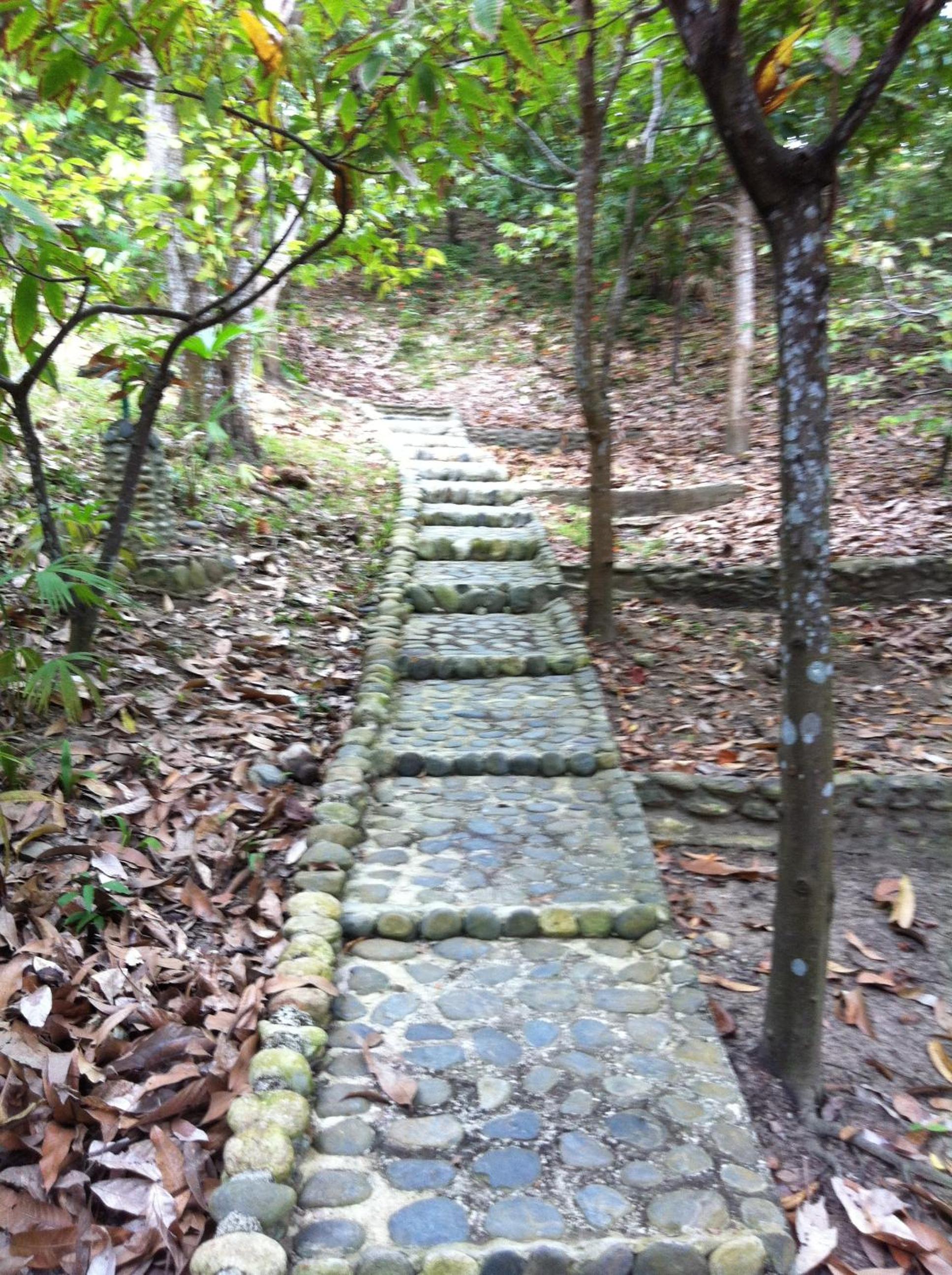 Photo 51