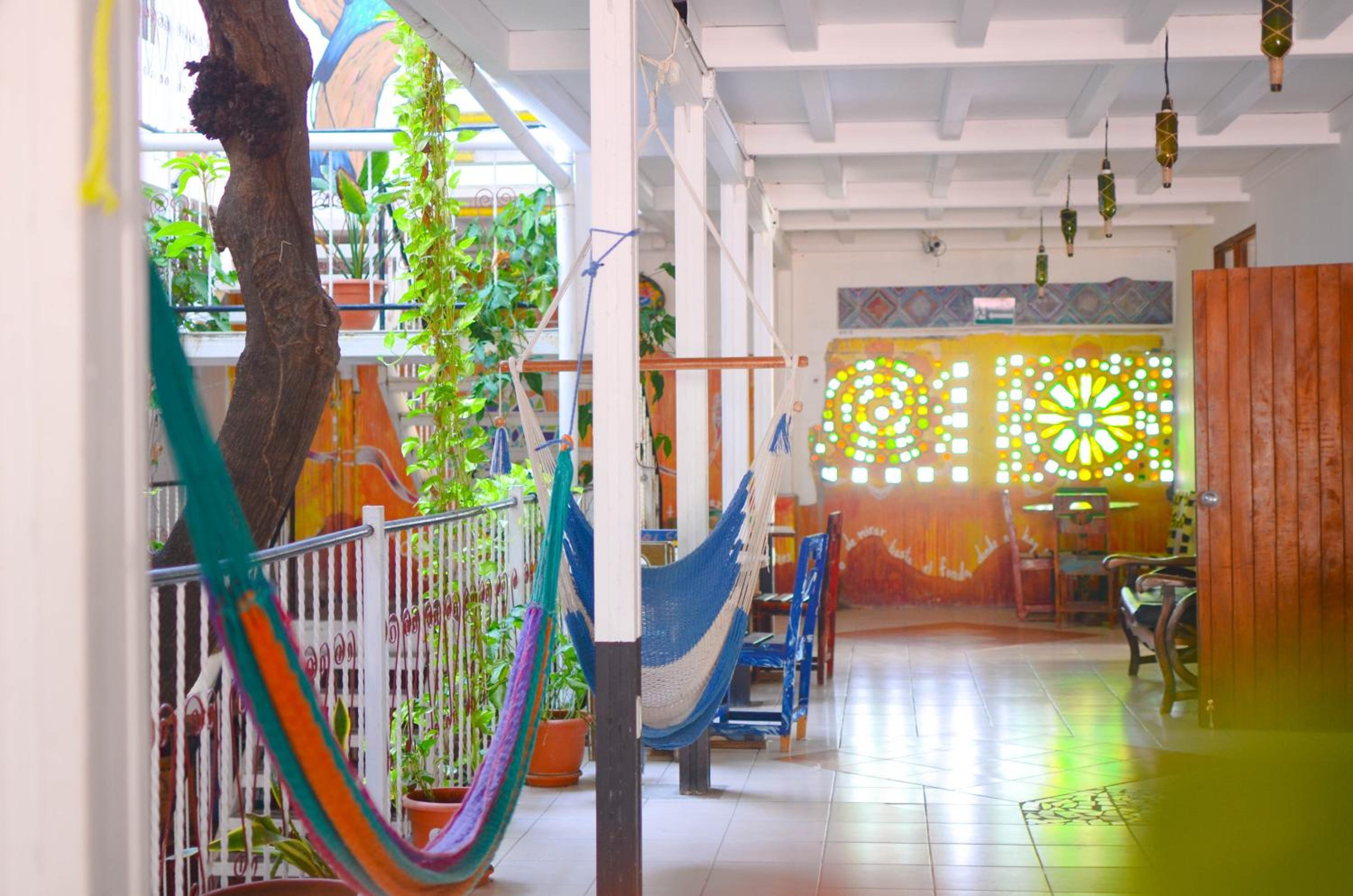 Casa Oro Eco Hostel