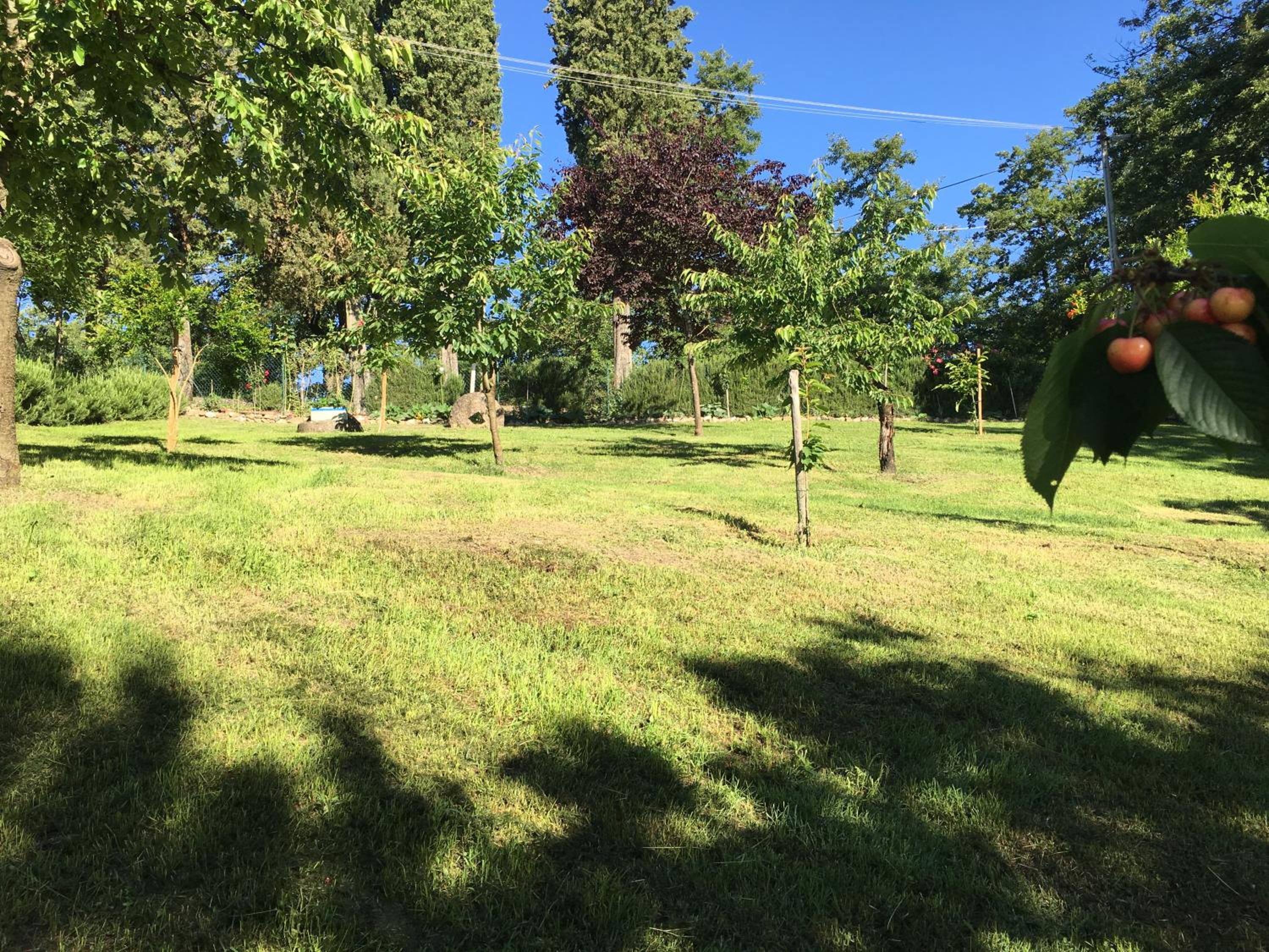 Photo 8