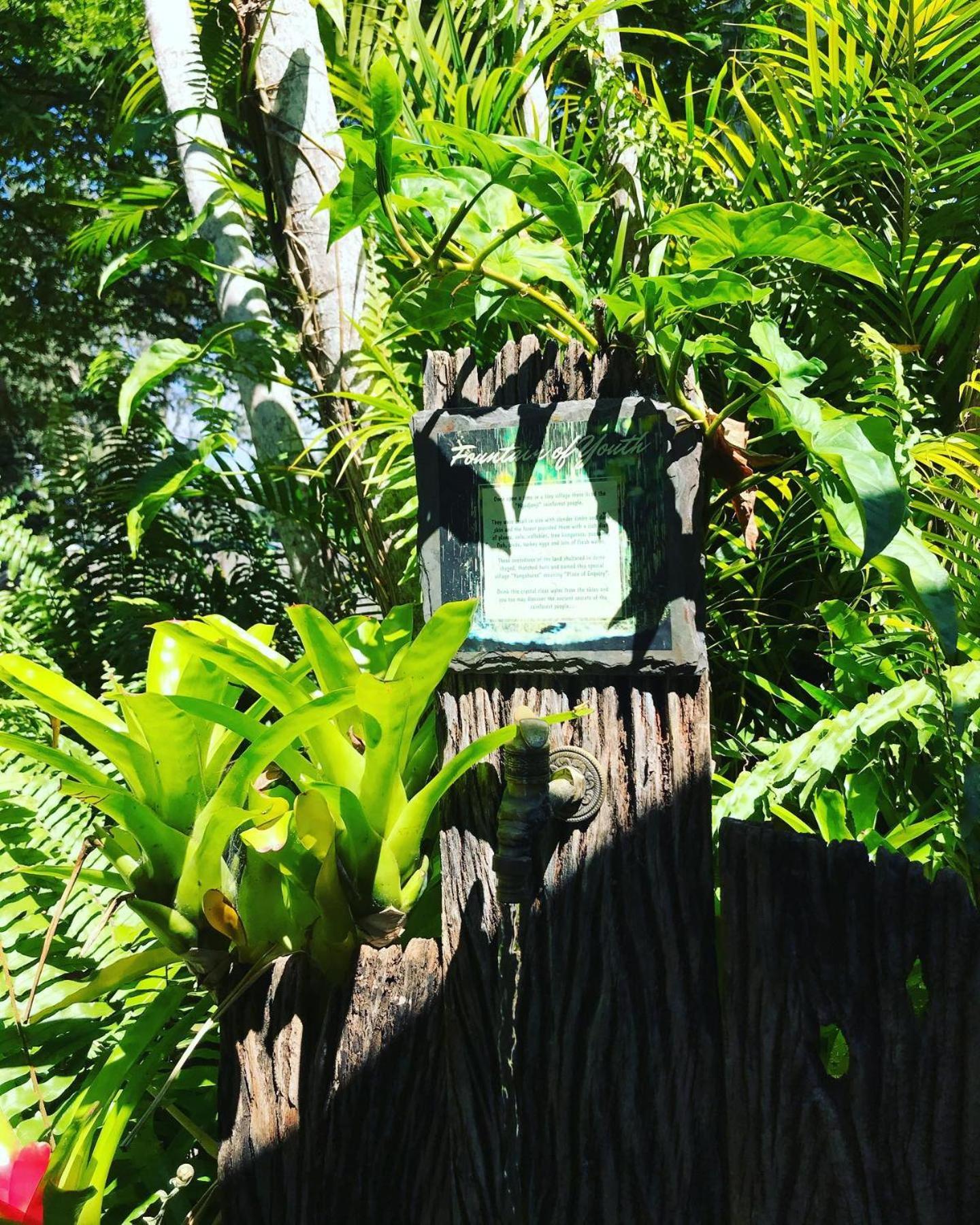 On The Wallaby Eco Lodge