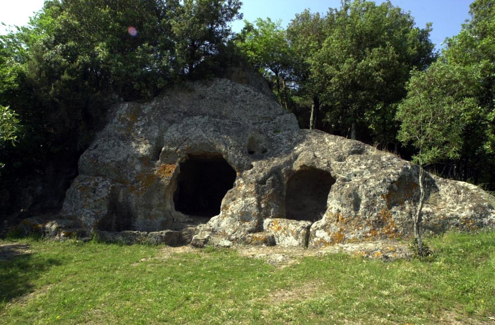 Photo 41