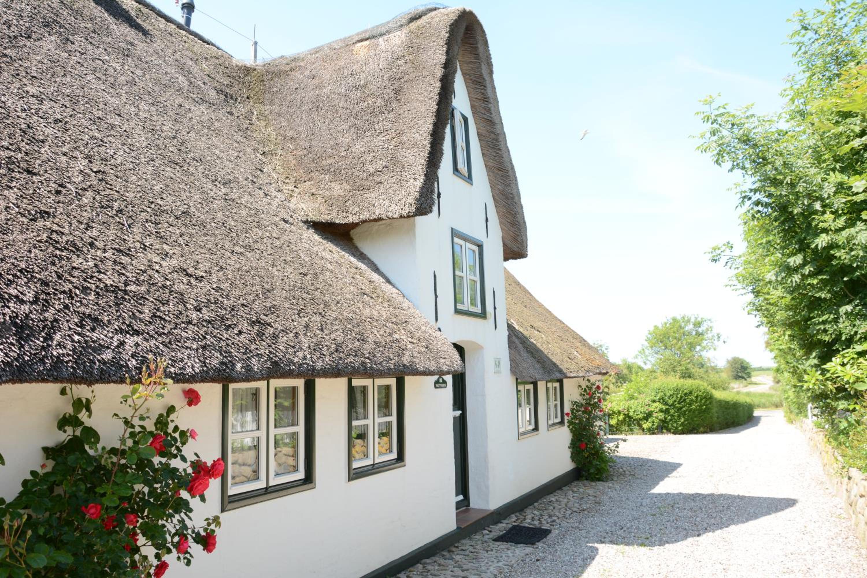 FÖHRIENHAUS stilvolle 5 Sterne Einheiten in ruhiger Marschrandlage auf Föhr für Gäste, die das Besondere schätzen, gerne auch mit Hund