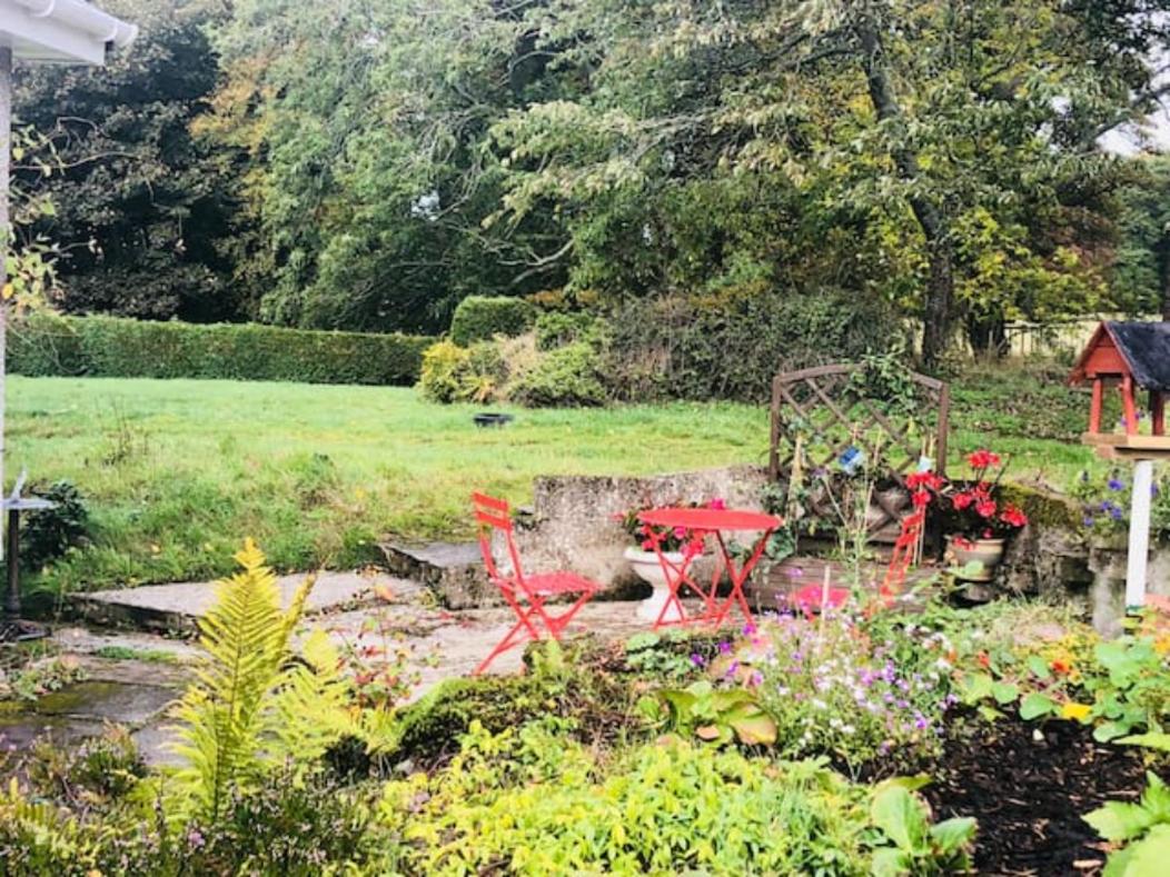 Home Comforts in Peaceful 2 Acres view 5