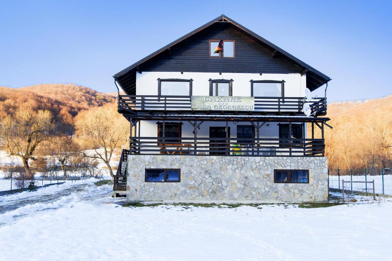 Casa Georgescu view 2