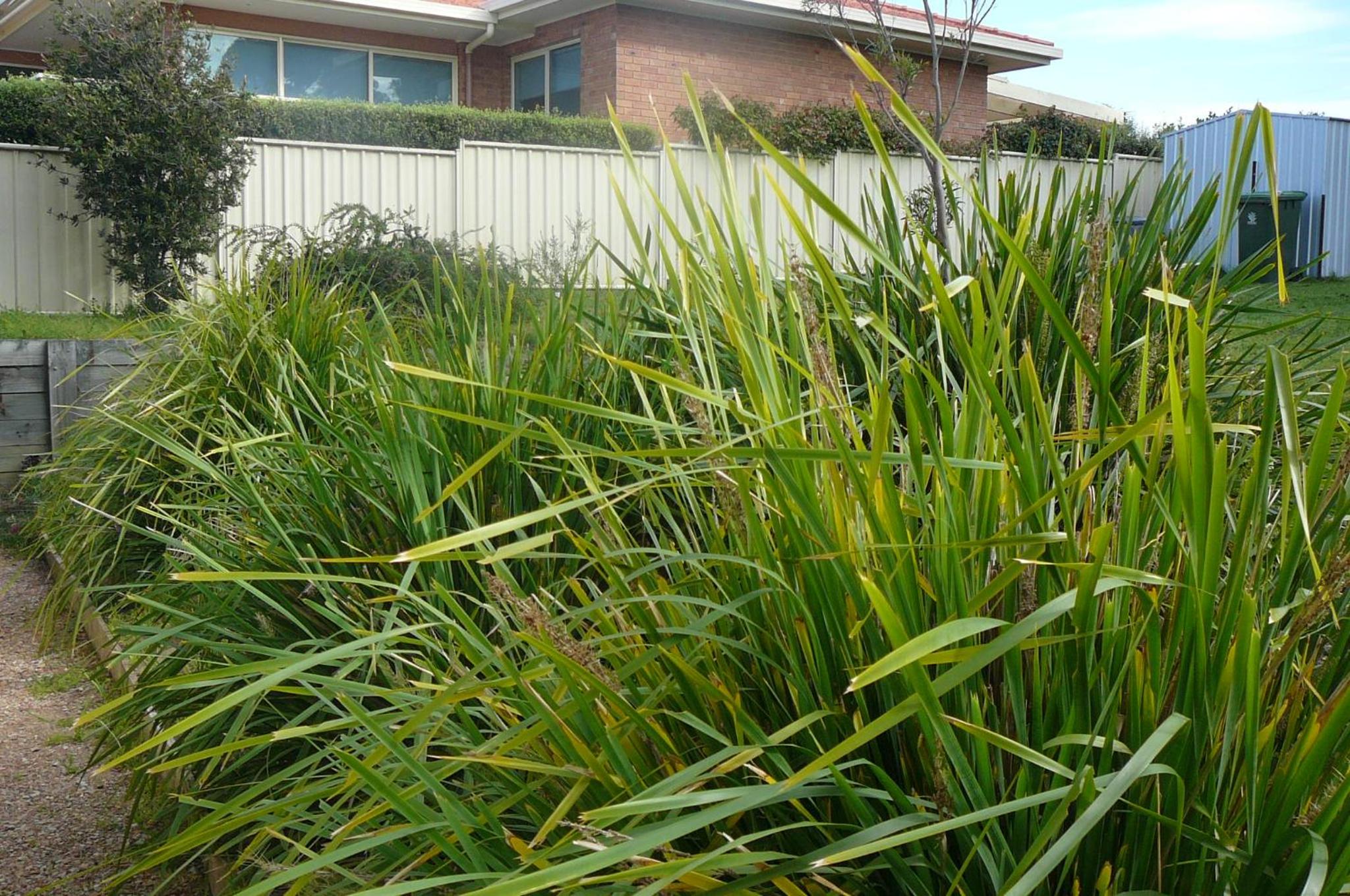 Banksia Waters