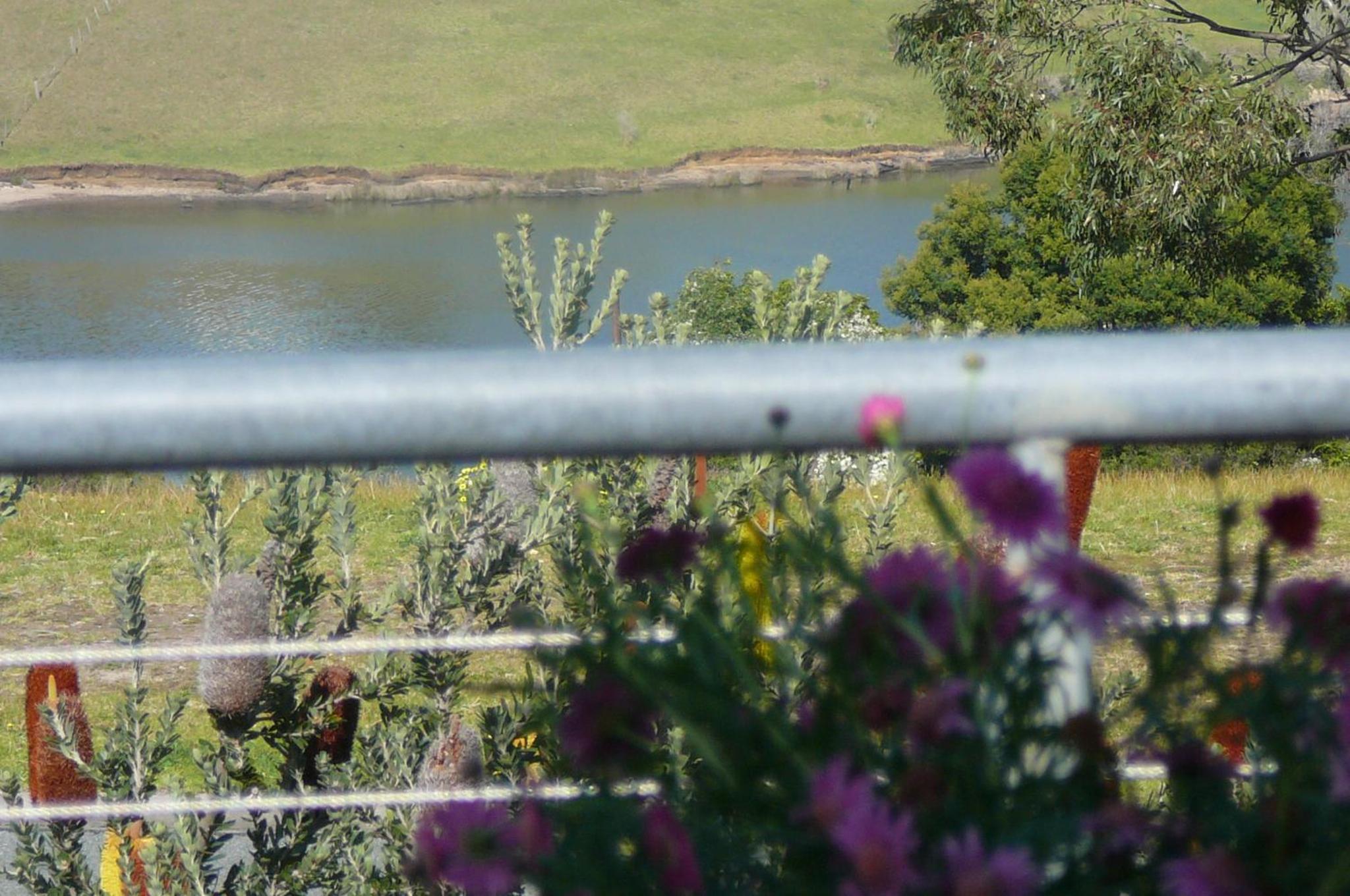 Banksia Waters